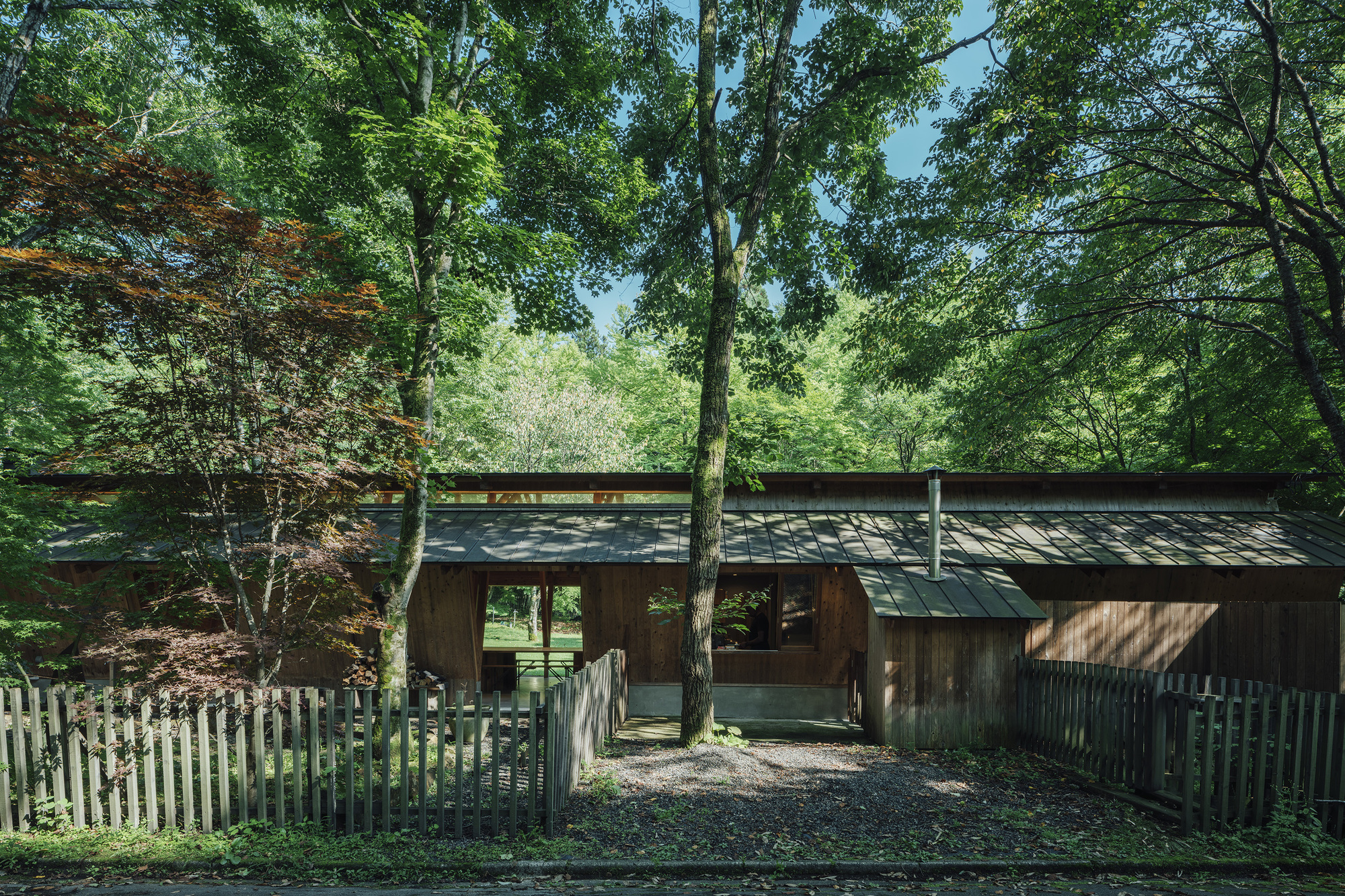 Entry courtyard with metal roof volumes and diagonal timber supports between birch trees and split-rail fence