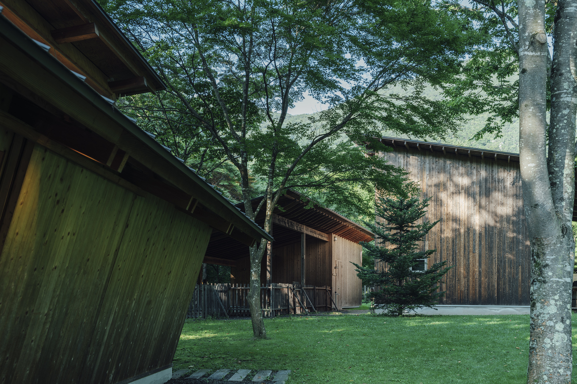 Cluster of timber-clad volumes with metal roofs and exposed eaves across a mowed lawn with trees