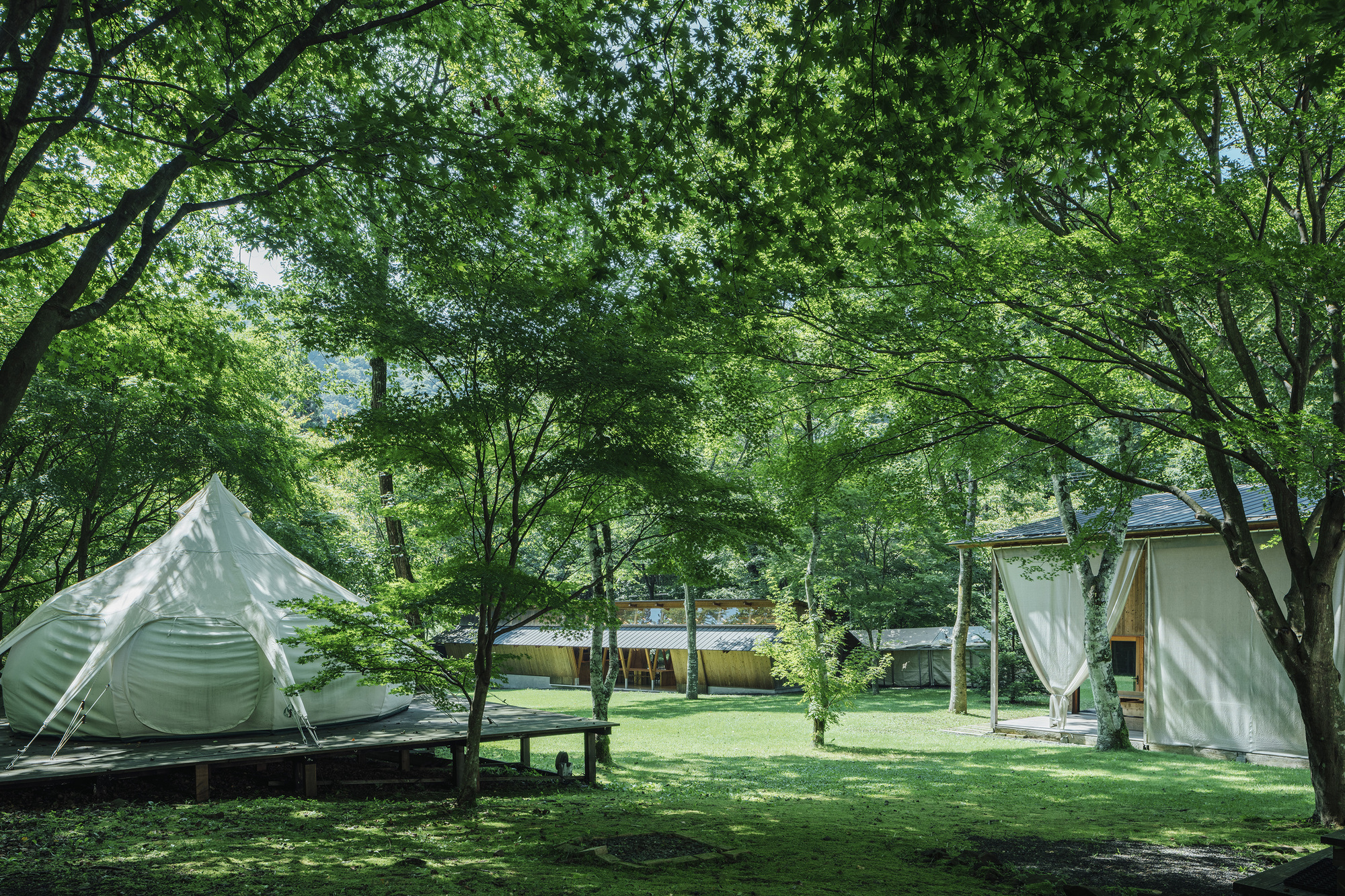 Canvas tent pavilions on timber platforms across a lawn clearing beneath mature trees