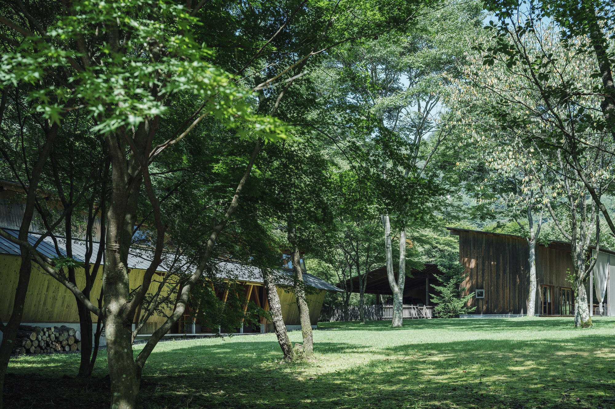 View across the lawn showing scattered timber structures under dappled sunlight filtering through branches