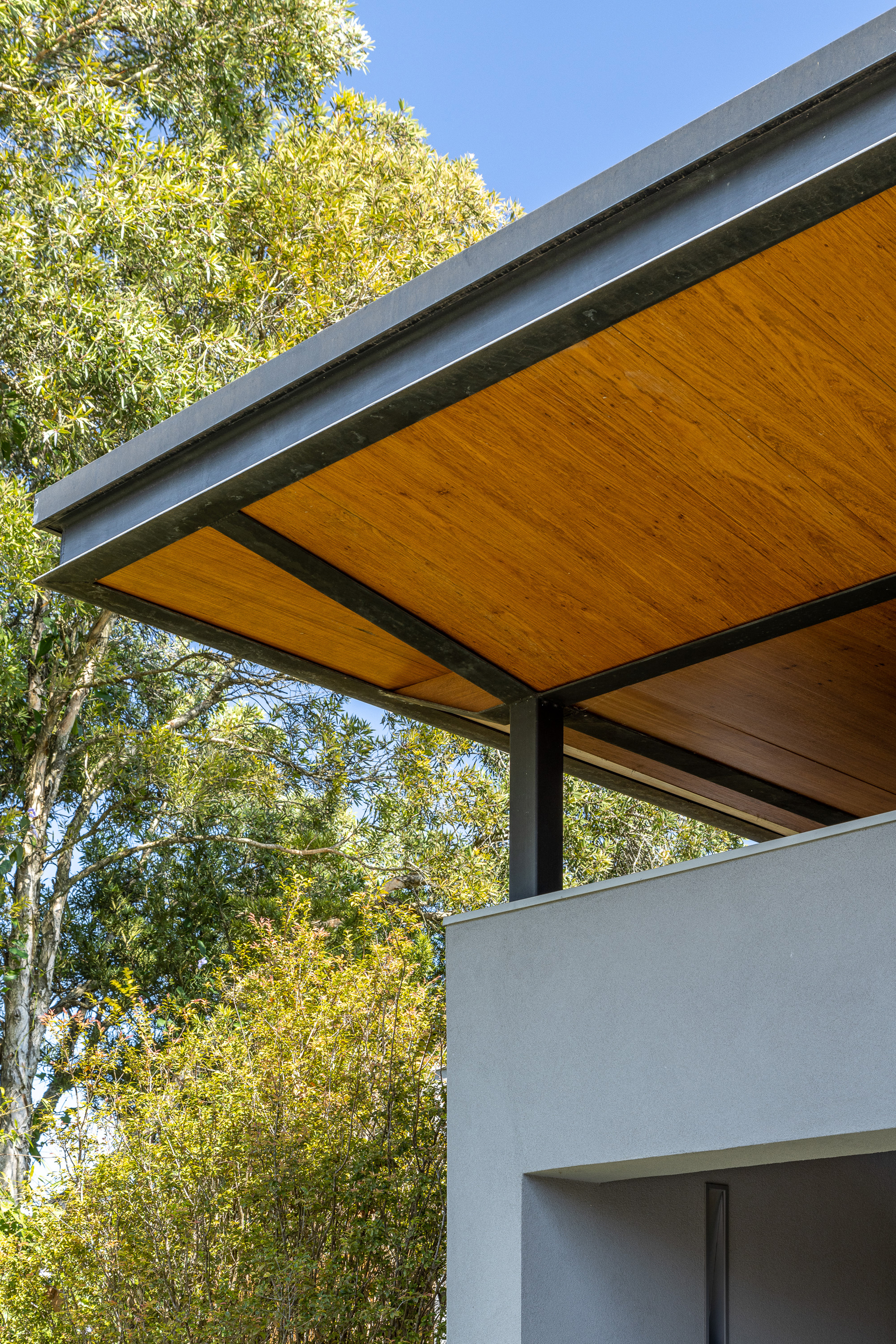 Cantilevered roof edge with timber soffit and steel fascia against deciduous tree canopy