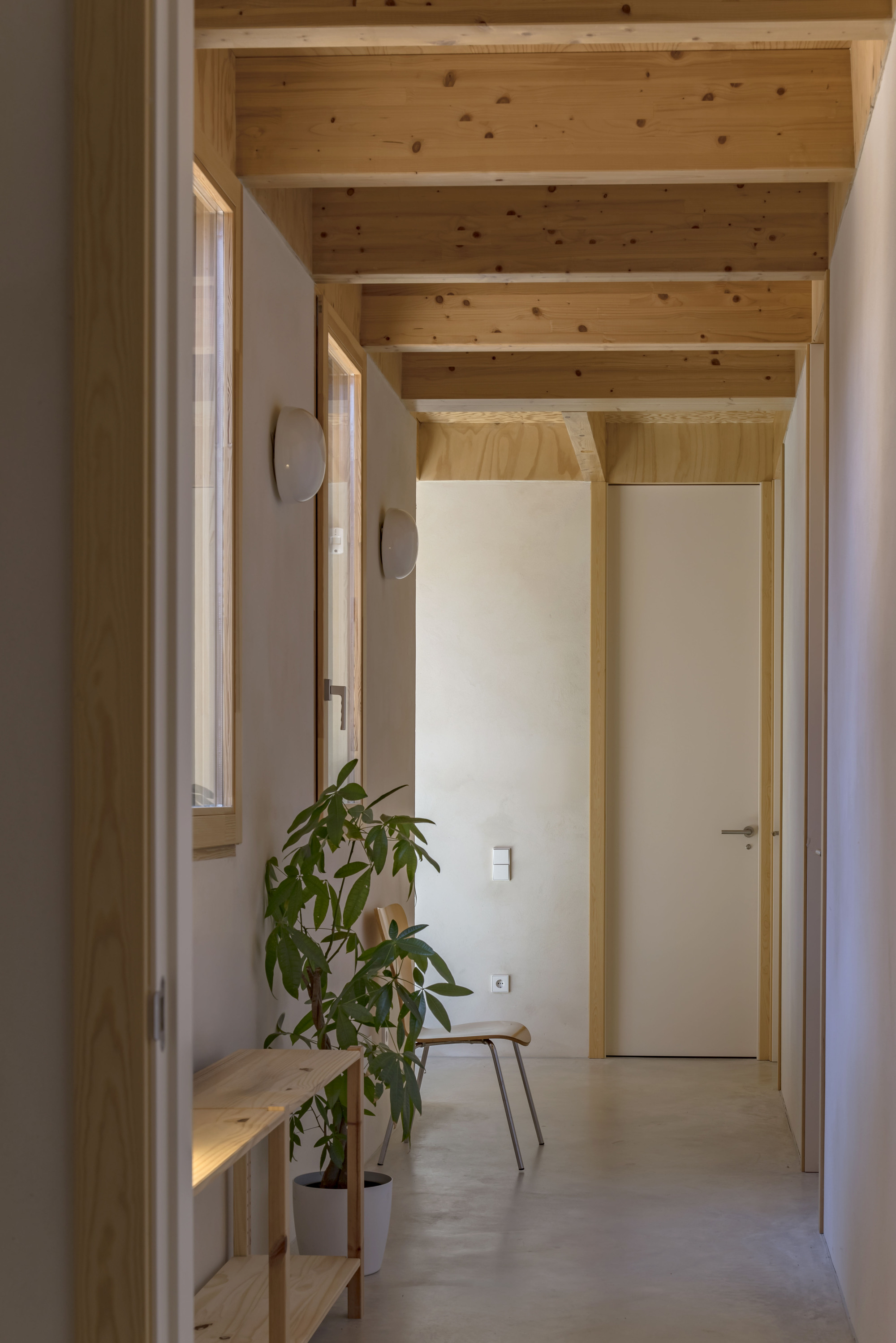 Corridor with exposed timber ceiling beams and a potted plant beside a timber bench