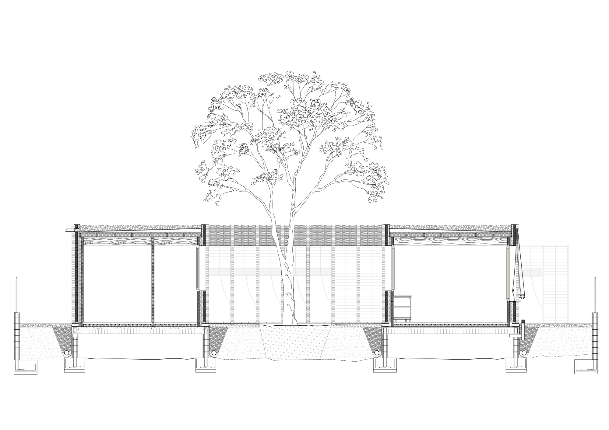 Section drawing showing two pavilion volumes separated by a central courtyard with a tall tree