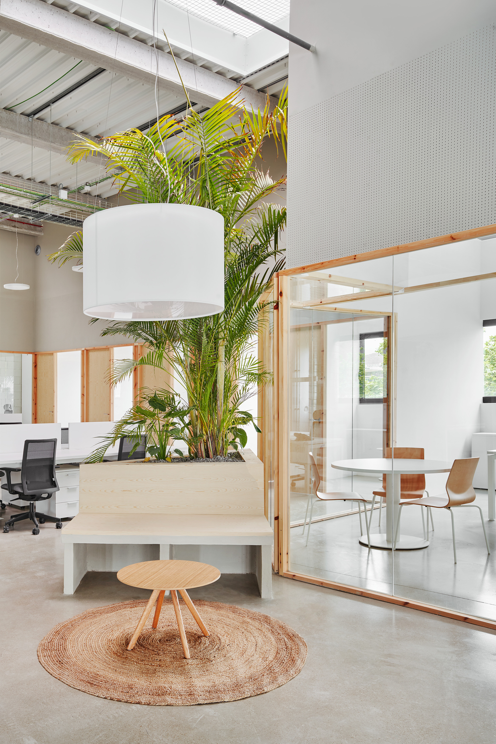Raised timber planter with palms and pendant light beside a low bench and meeting room