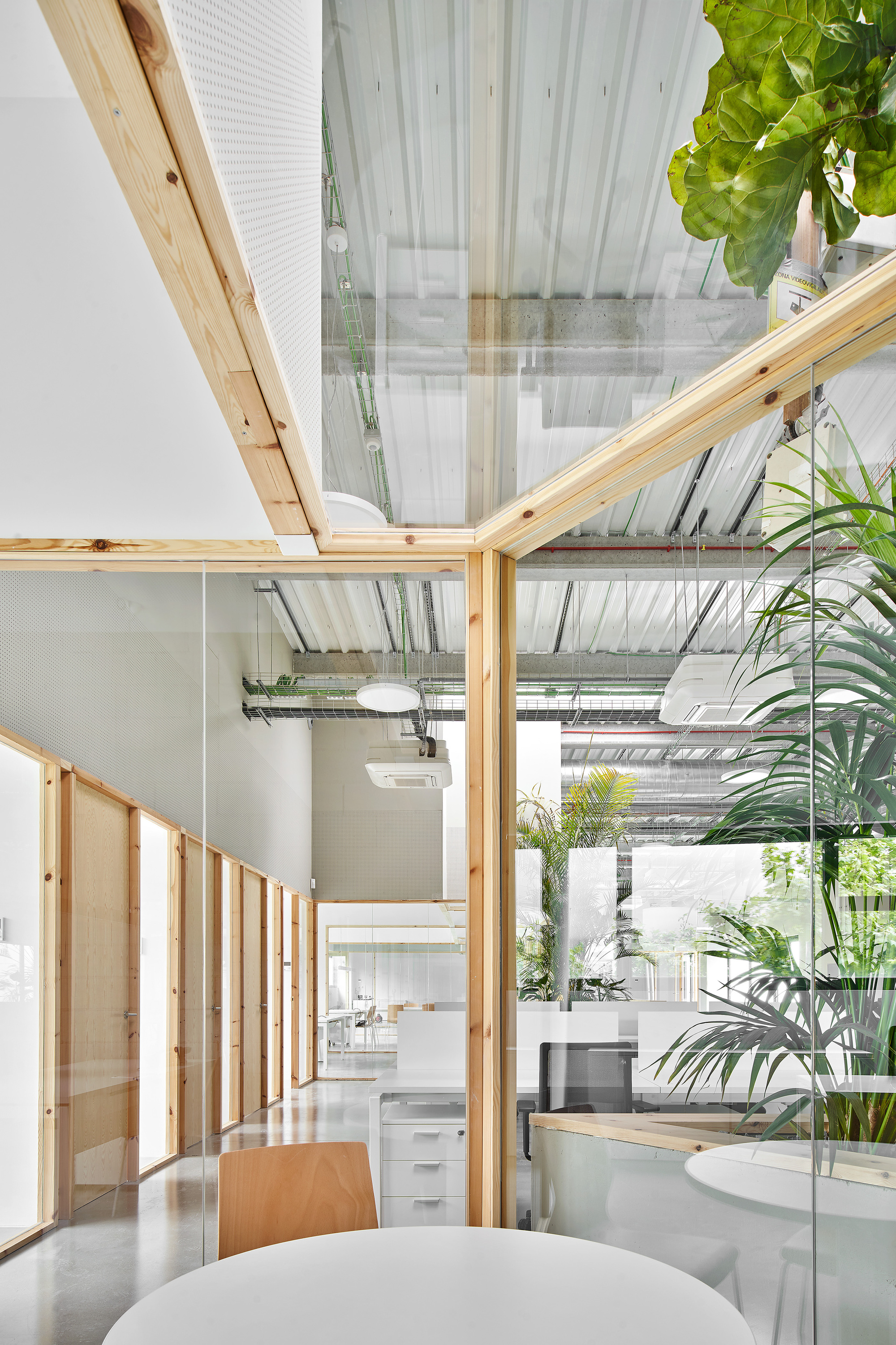 Corner detail of timber-framed glazed partition with translucent corrugated ceiling and foliage visible beyond