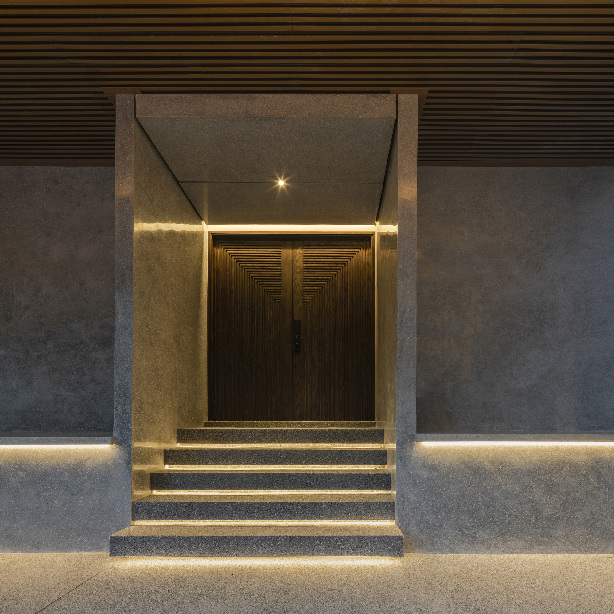 Entry steps with integrated linear lighting beneath treads leading to a timber-clad door at dusk
