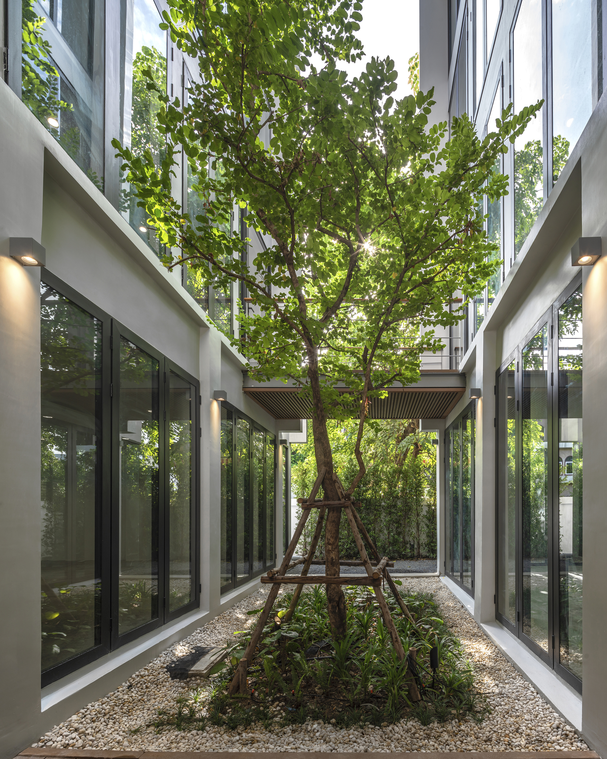 Internal courtyard with single tree on gravel bed flanked by glass walls at dusk