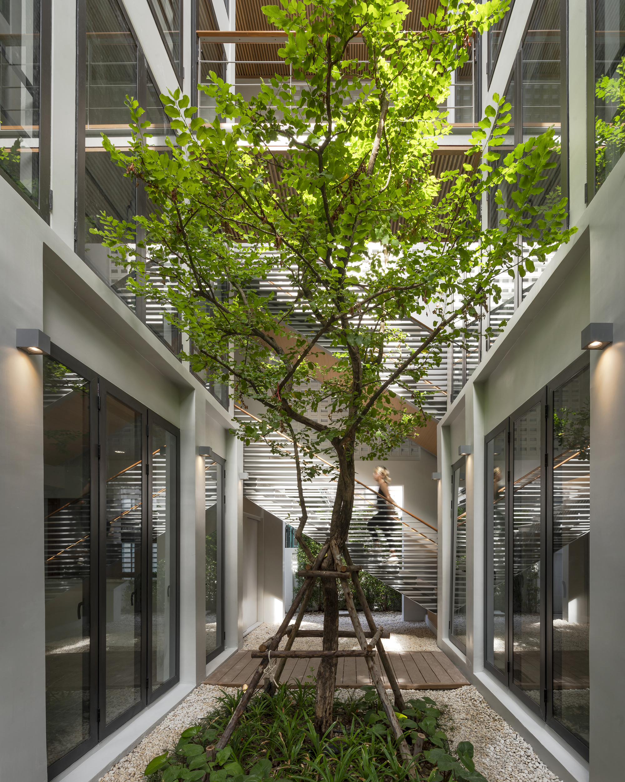 Courtyard with tree and figure walking beneath timber bridge linking two wings at twilight