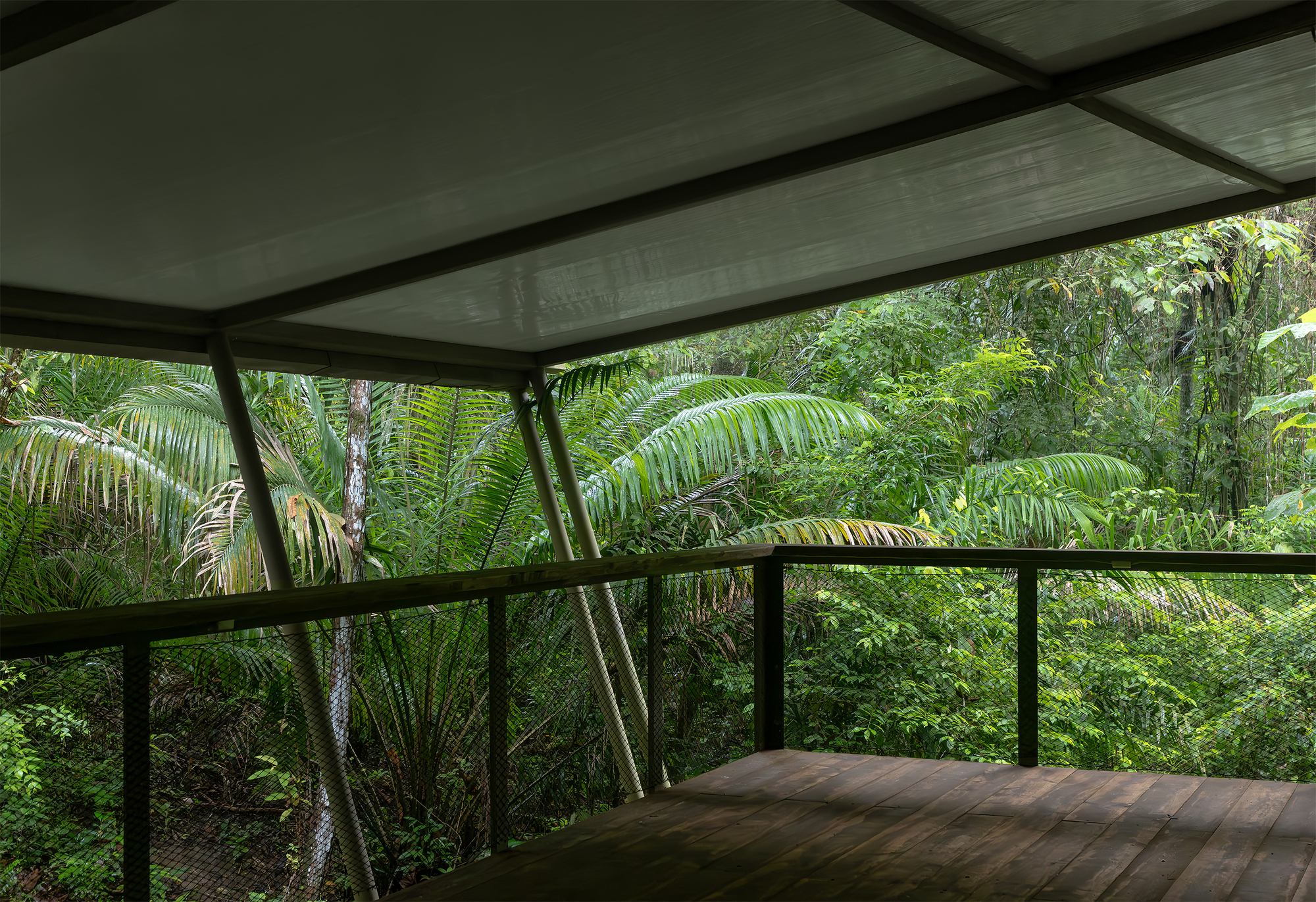 Covered terrace with timber decking and metal railing overlooking palm fronds and jungle canopy