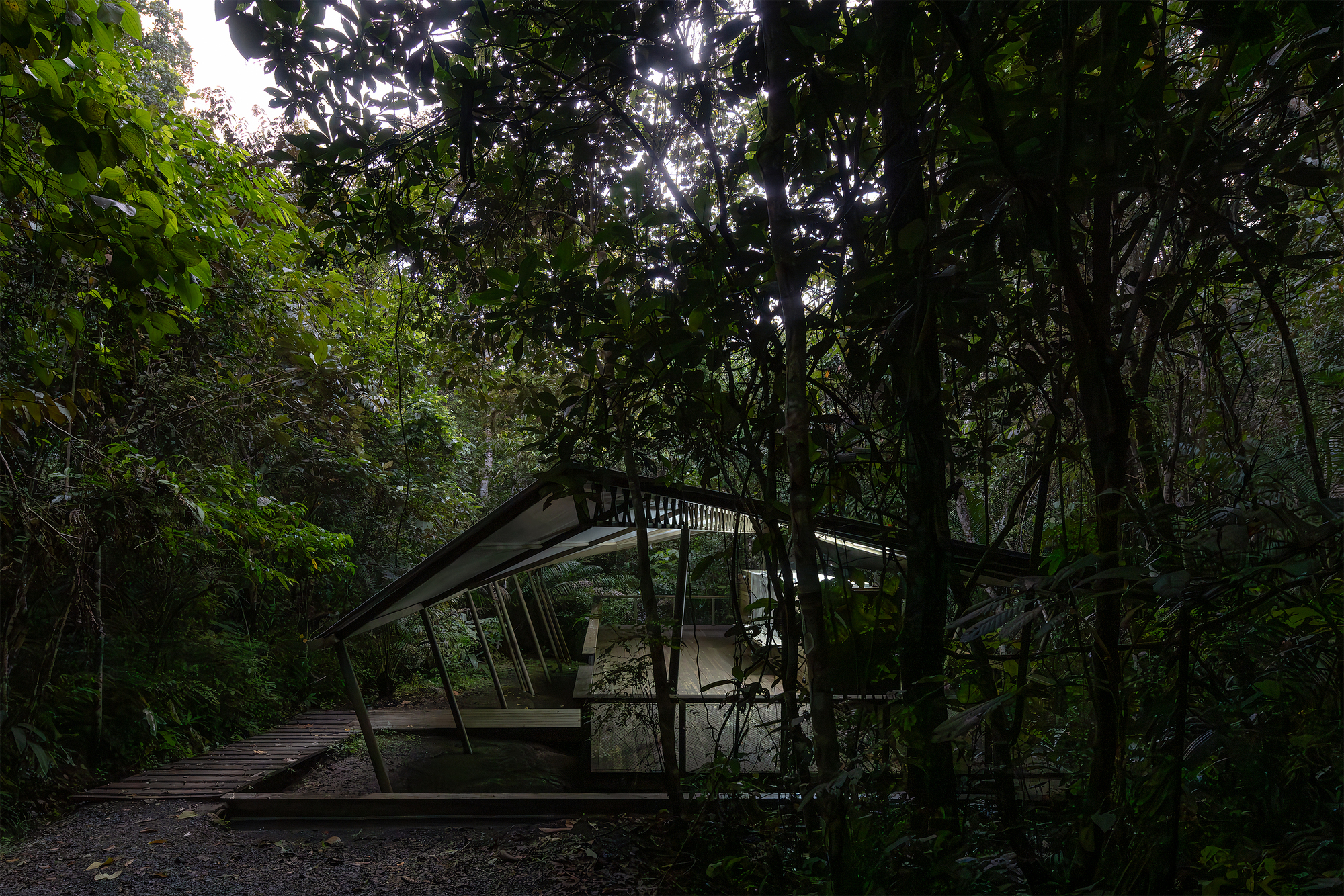 Glass-enclosed volume beneath a cantilevered roof visible through tree trunks at dusk
