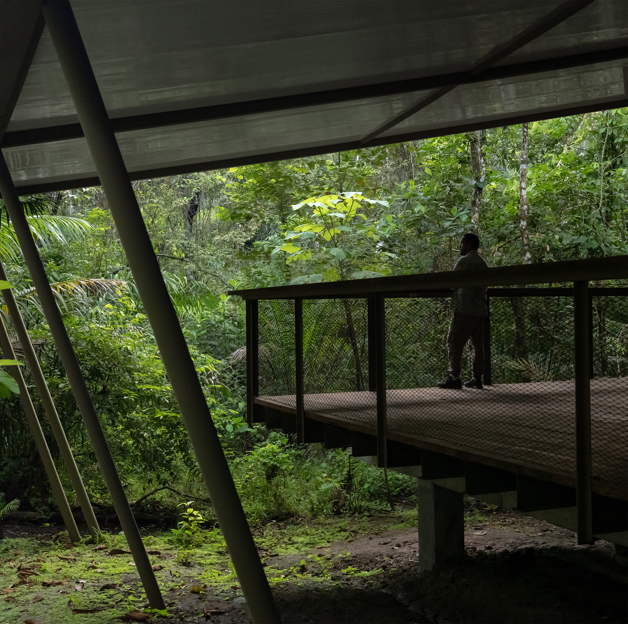 Cantilevered deck with metal mesh railing and figure standing beneath exposed concrete beams
