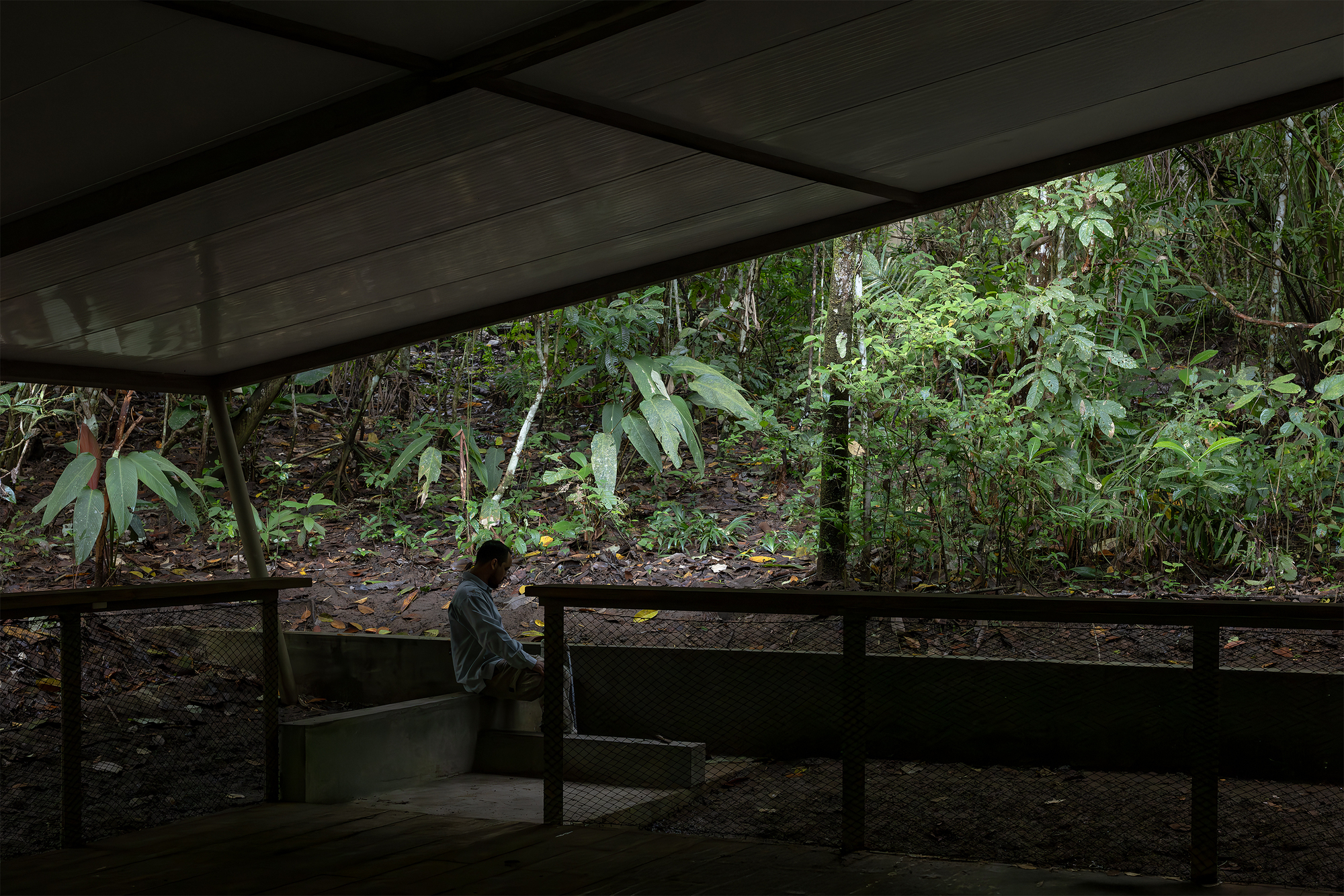 Concrete bench and metal railing beneath a sloped roof overlooking the forest floor