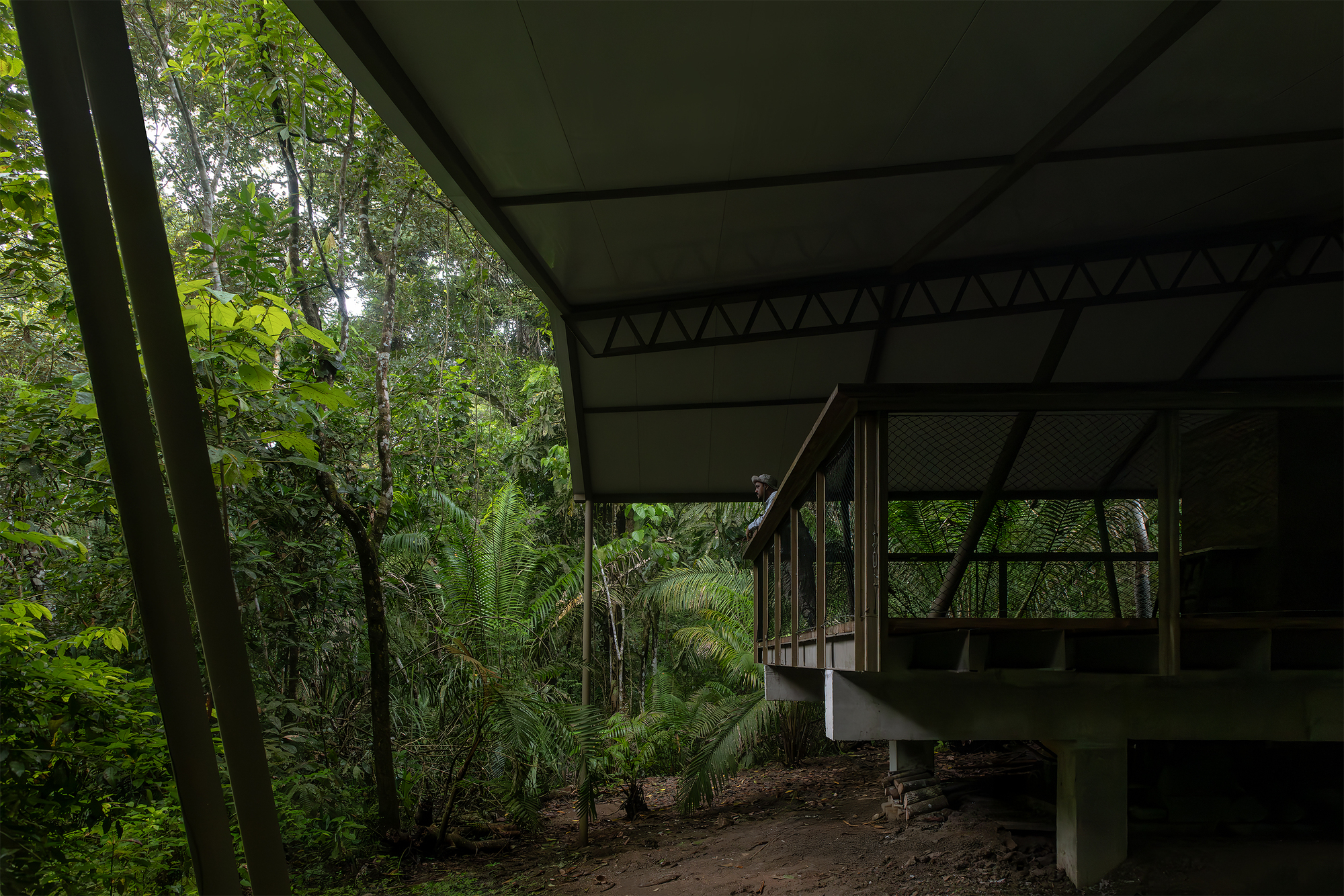 Covered terrace with triangulated truss ceiling and mesh enclosure looking into the forest