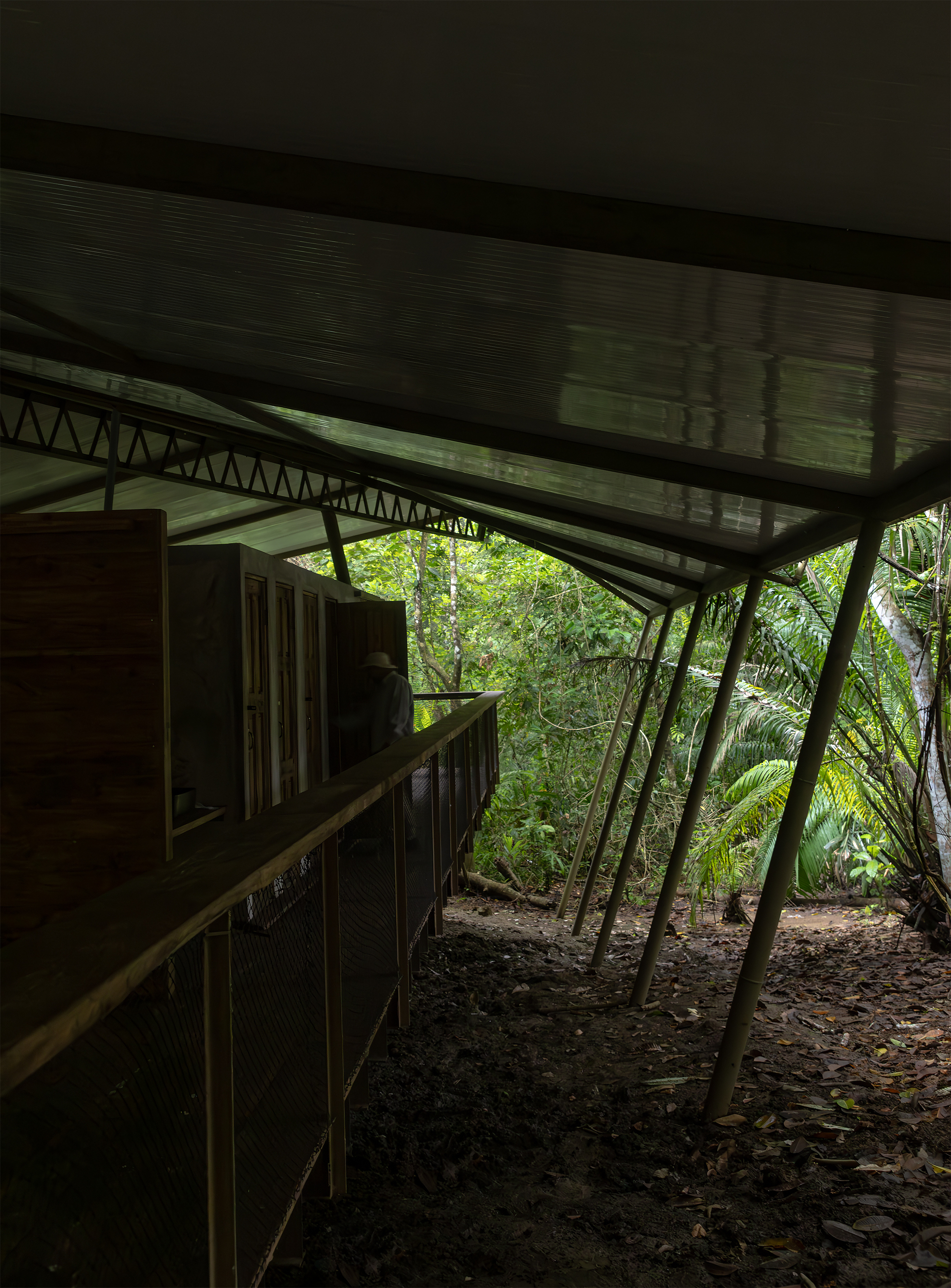 Covered terrace with angled steel columns and translucent ceiling opening to dense tropical vegetation
