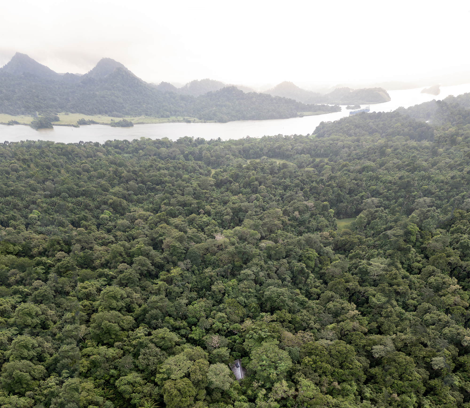 Distant view of forested mountains and waterways with the roof barely visible among the trees