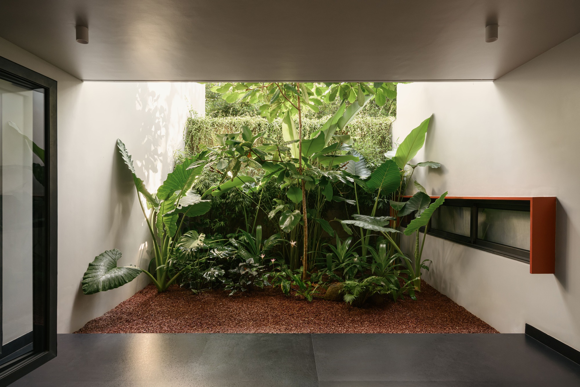 Interior courtyard planter with tropical foliage and gravel bed beneath a skylight opening