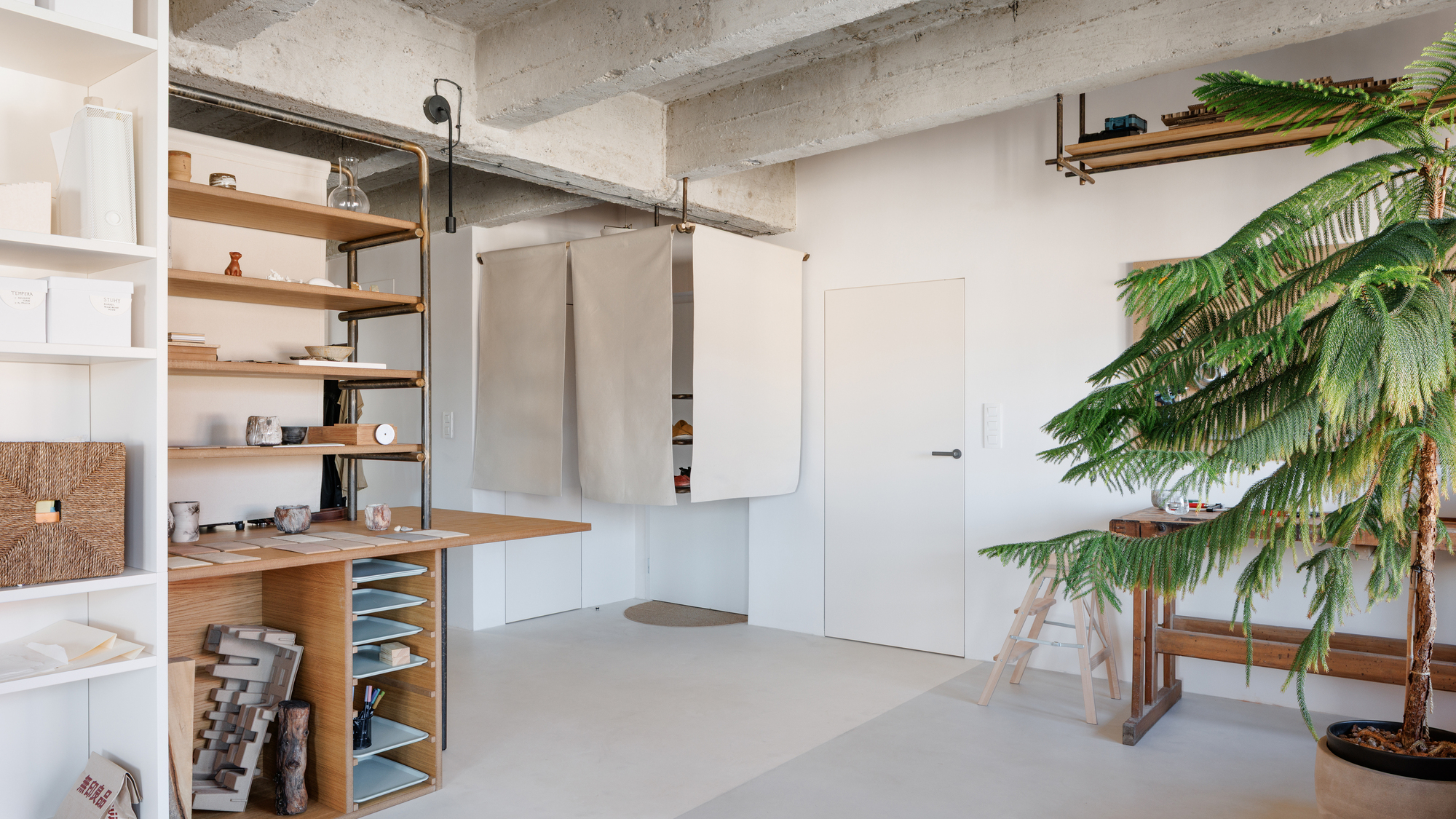 Movable fabric panels suspended from ceiling tracks beside a tall potted palm tree