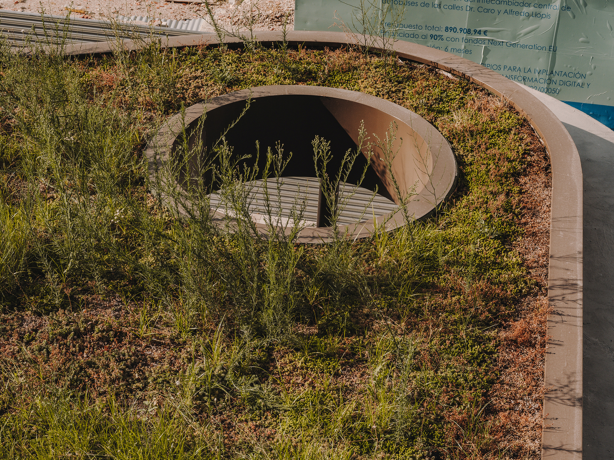 Close-up of circular opening in planted roof with native grasses and low groundcover