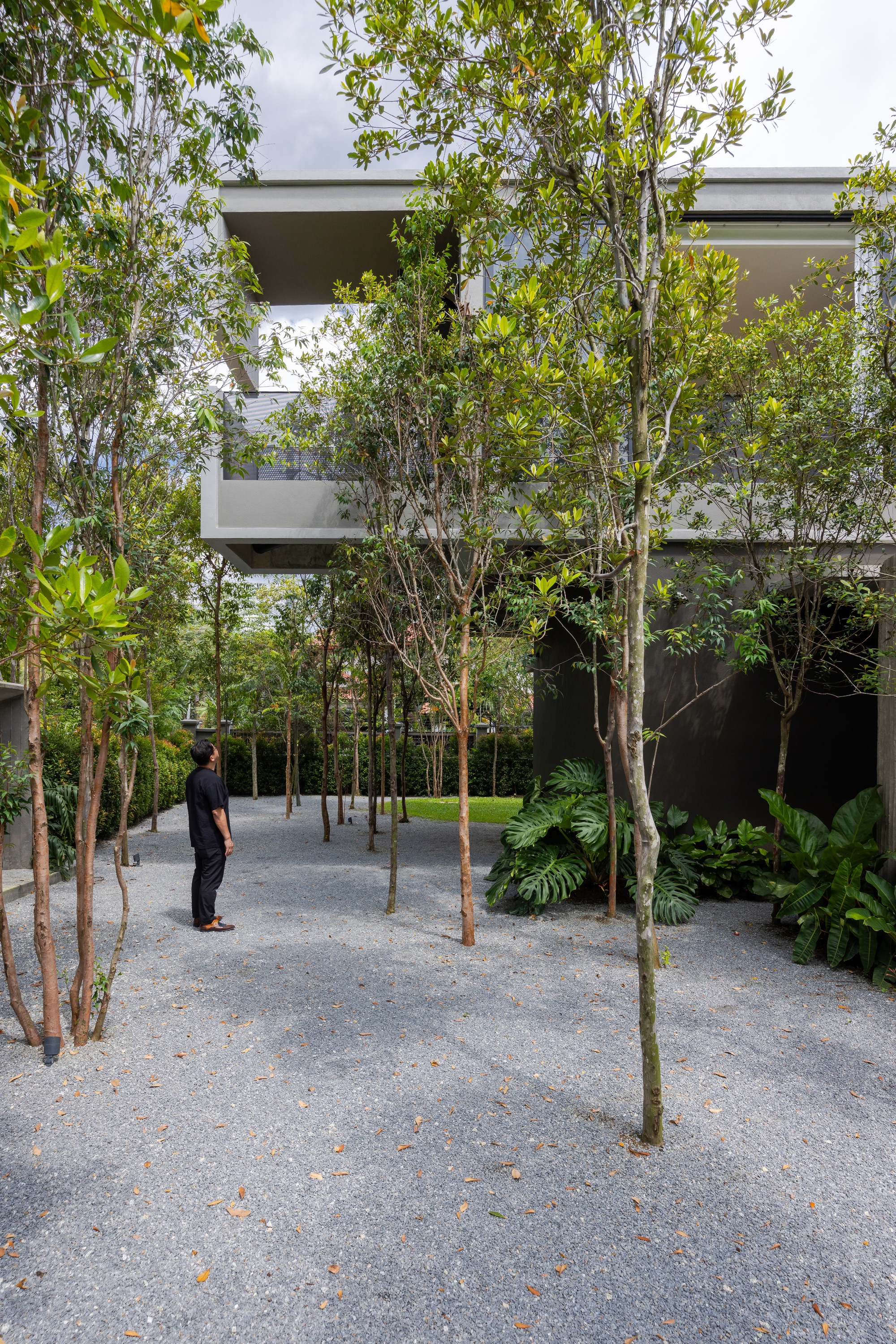 Courtyard with gravel surface and slender trees framing a person standing beneath the cantilevered upper level
