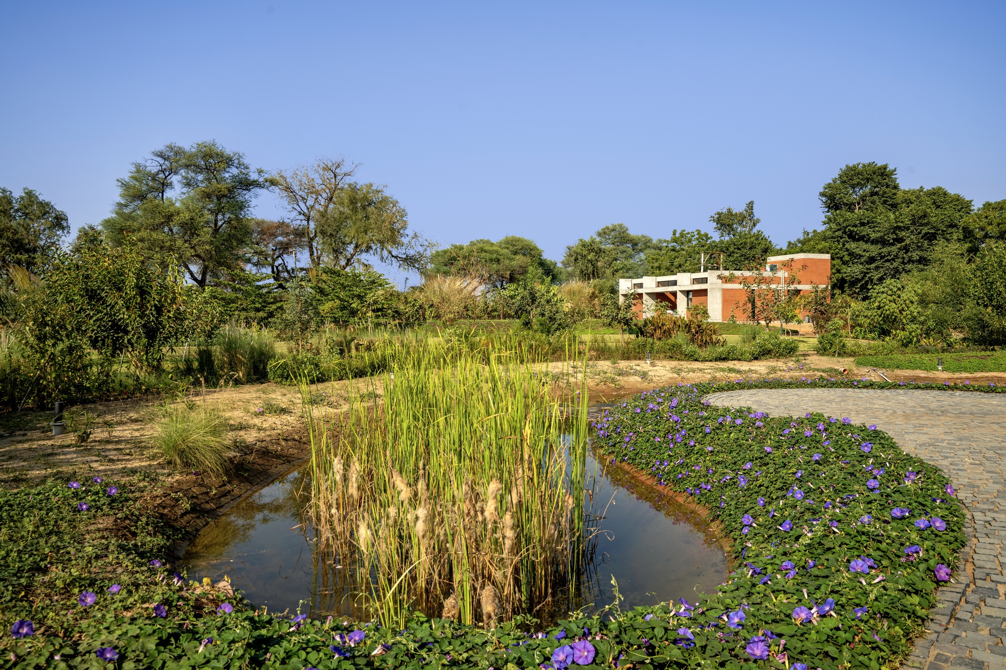 Water feature with purple flowering plants and reeds beside the brick structure in the landscape