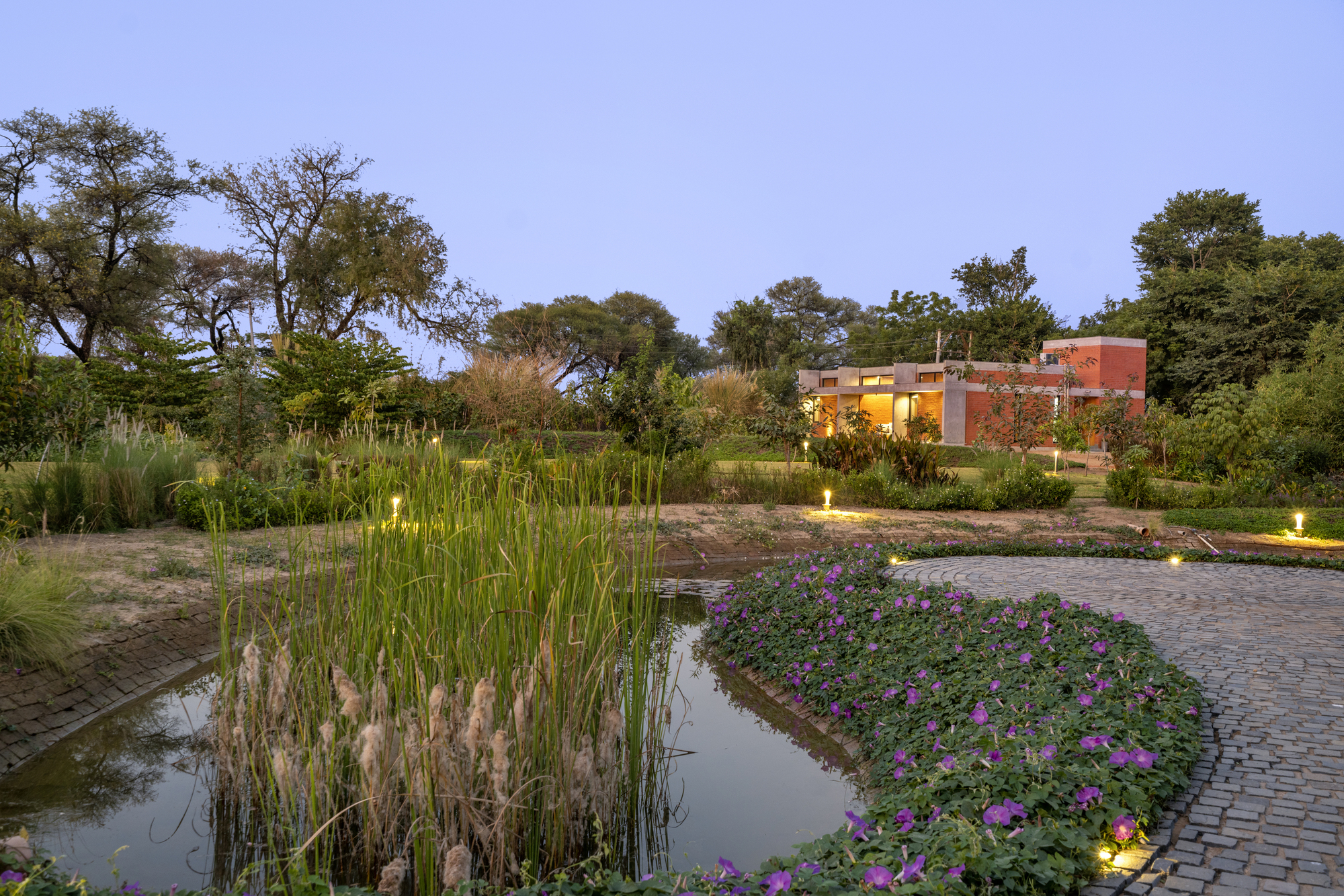 Garden pond with flowering plantings and paved terrace at twilight