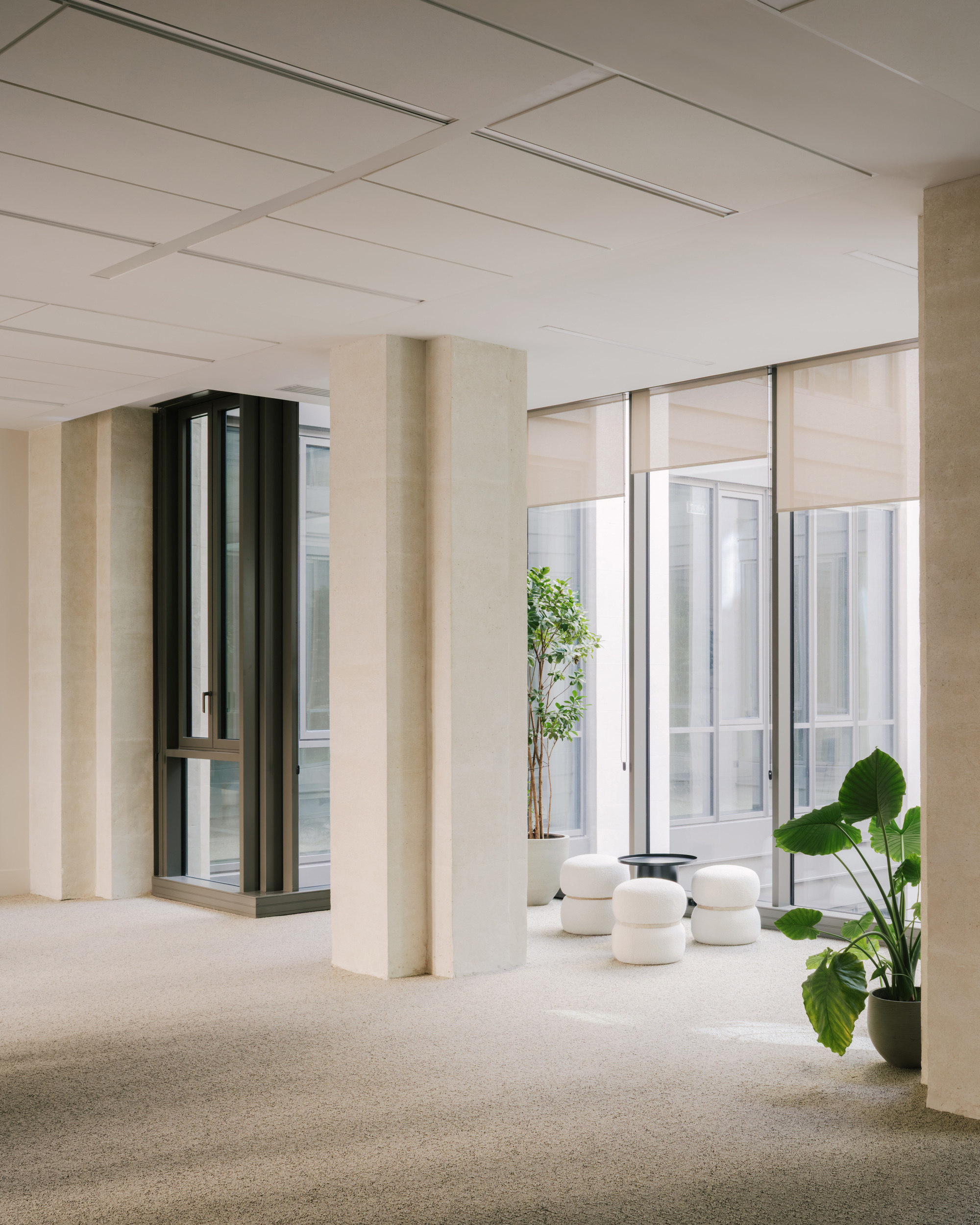 Interior with black glass elevator shaft, cream carpeting and potted plants beside roller-shaded courtyard windows