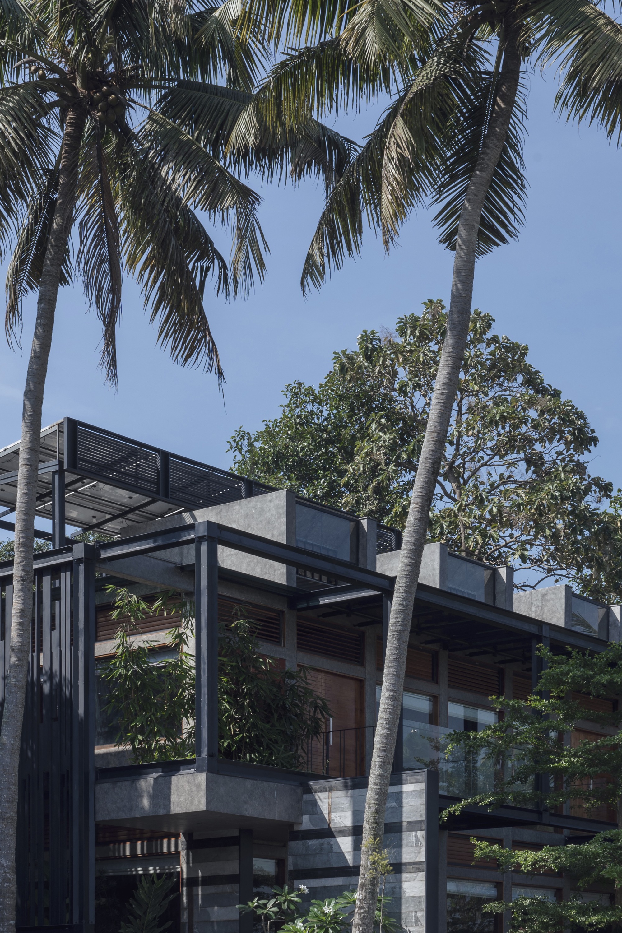 Layered concrete volumes with steel canopy structure framed by coconut palms against a clear sky