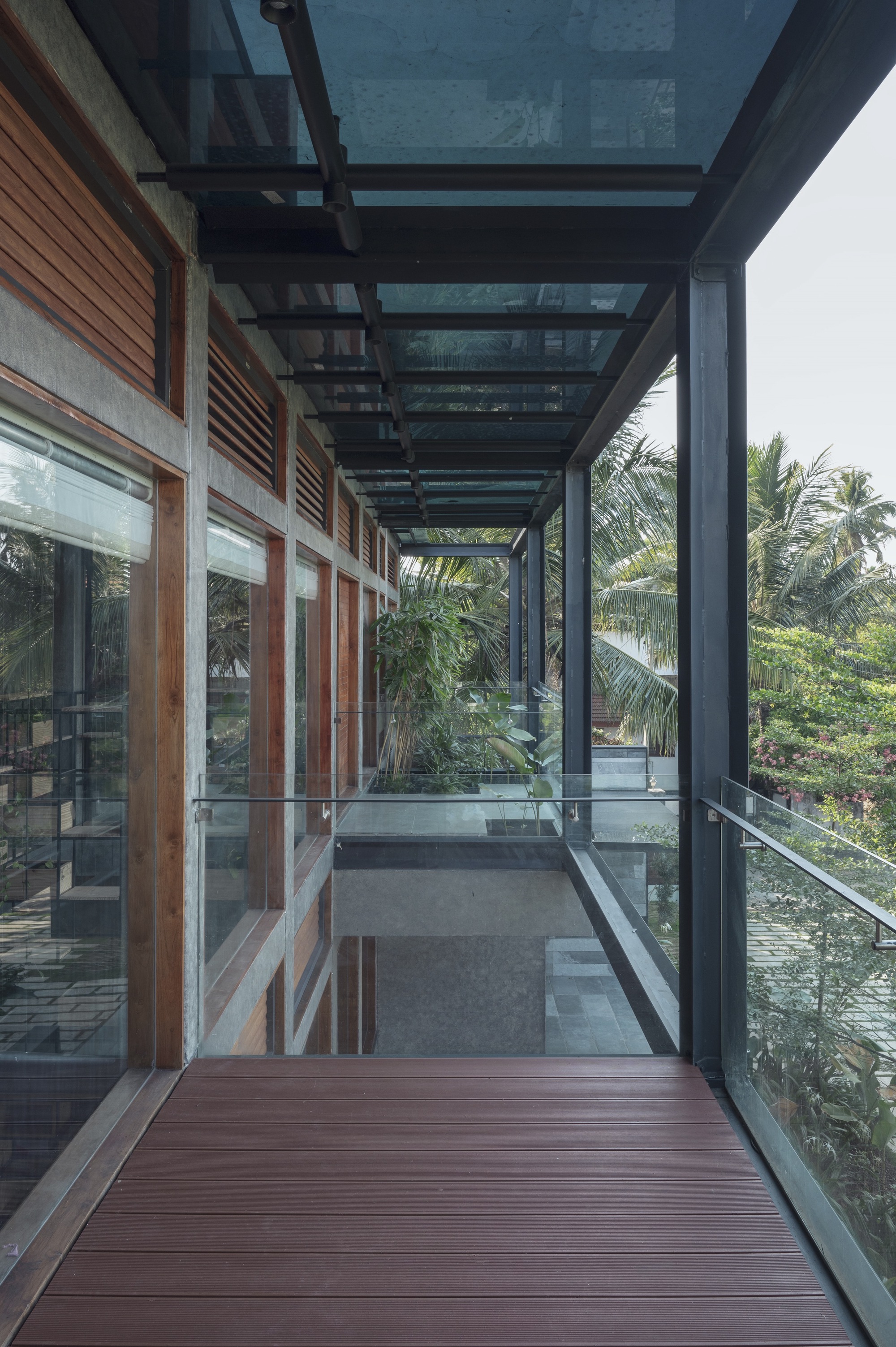 Covered timber deck walkway with steel frame and glass balustrade overlooking palms and greenery