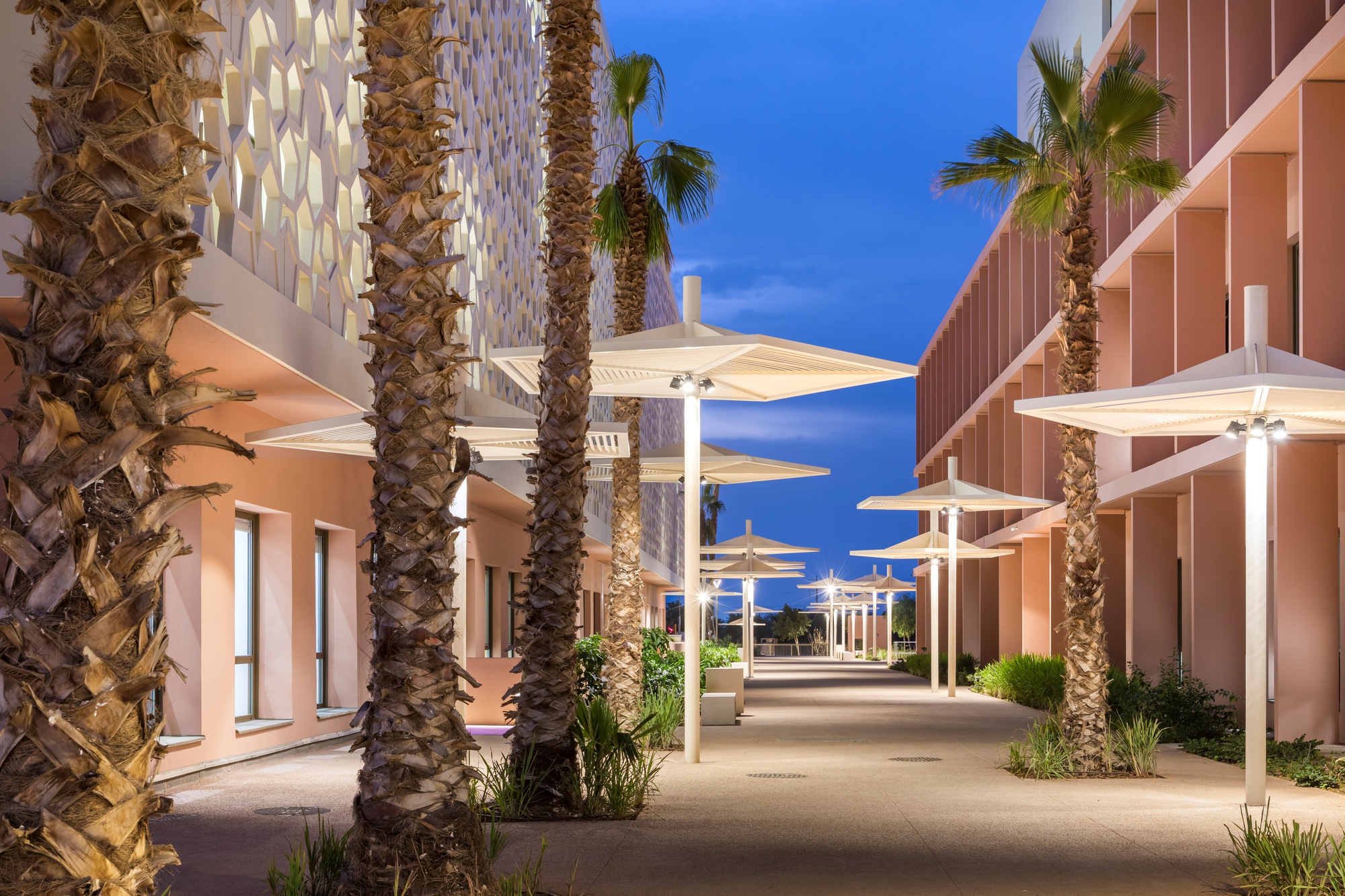 Pedestrian walkway lined with palm trees and white shade canopies at dusk