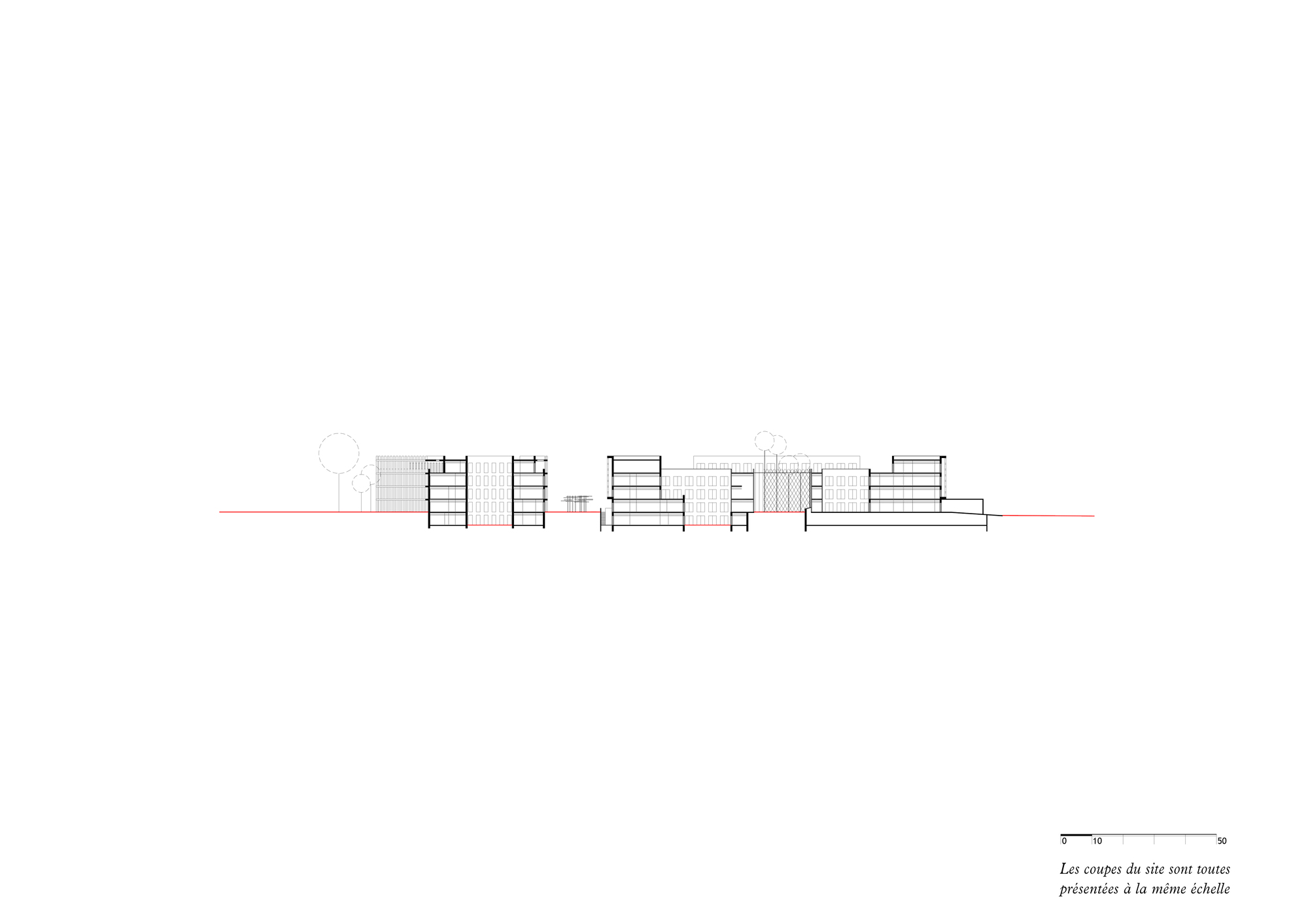 Section drawing showing multiple building volumes of varying heights along a horizontal datum line
