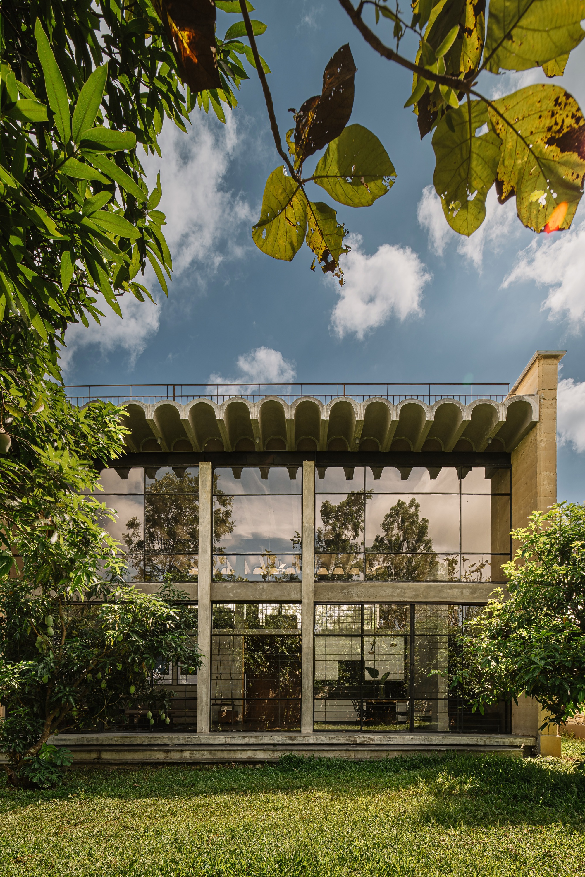Two-story glass facade beneath scalloped canopy viewed through overhanging tree branches