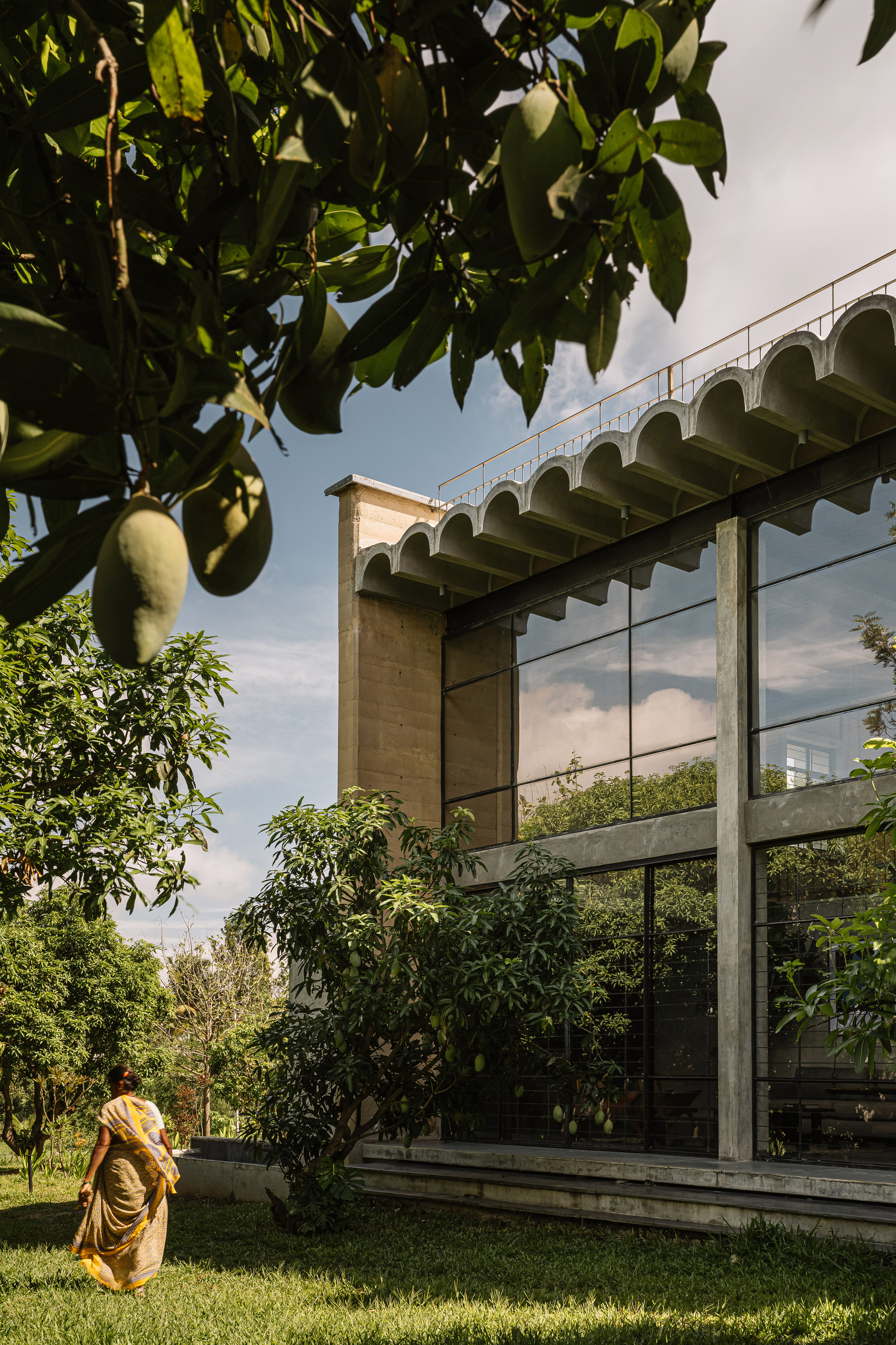Glass-walled pavilion with scalloped concrete canopy framed by mango tree branches and a figure in yellow