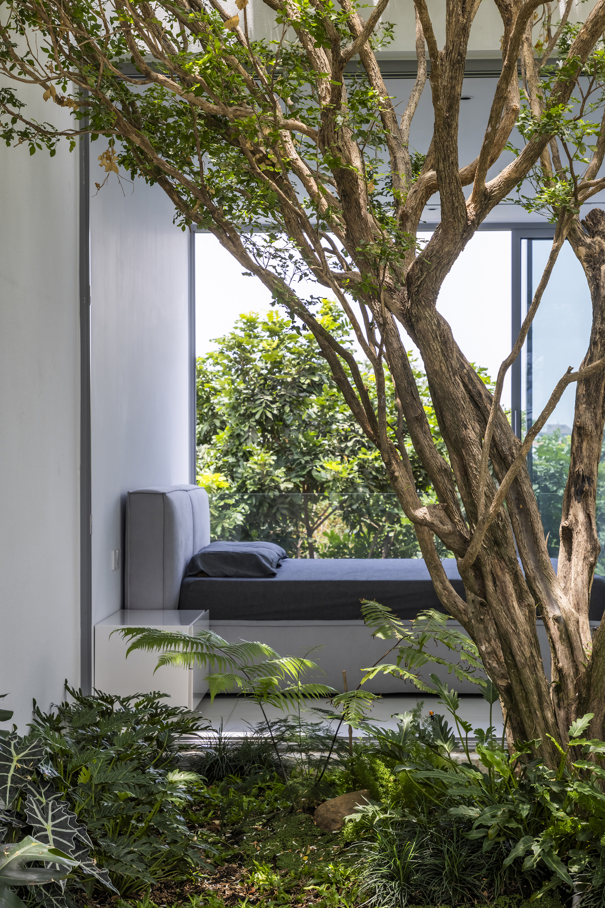 View through courtyard vegetation toward a recessed bedroom window framed by white walls