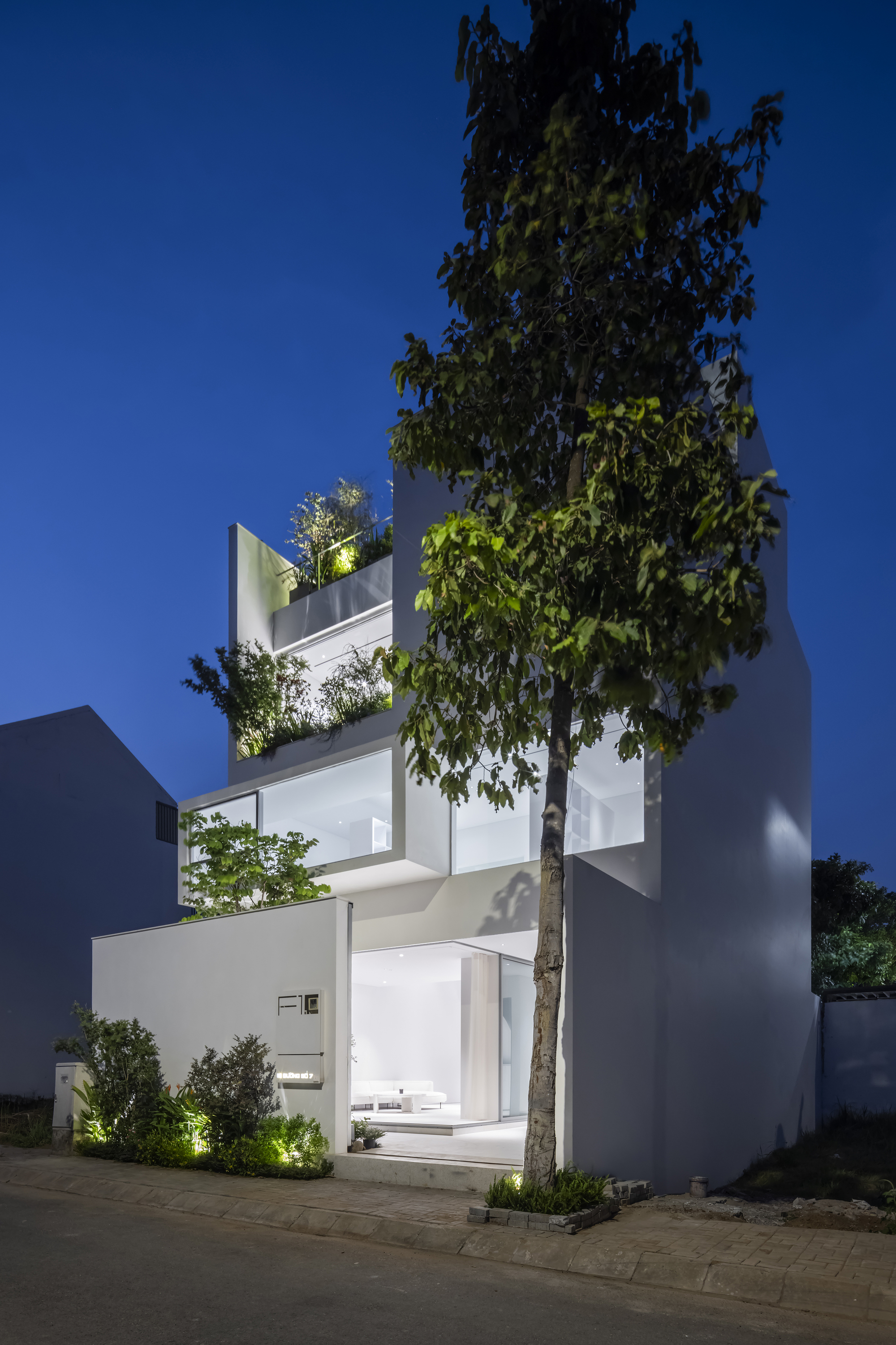 Street view at night with a mature tree framing the white facade and glowing interior spaces