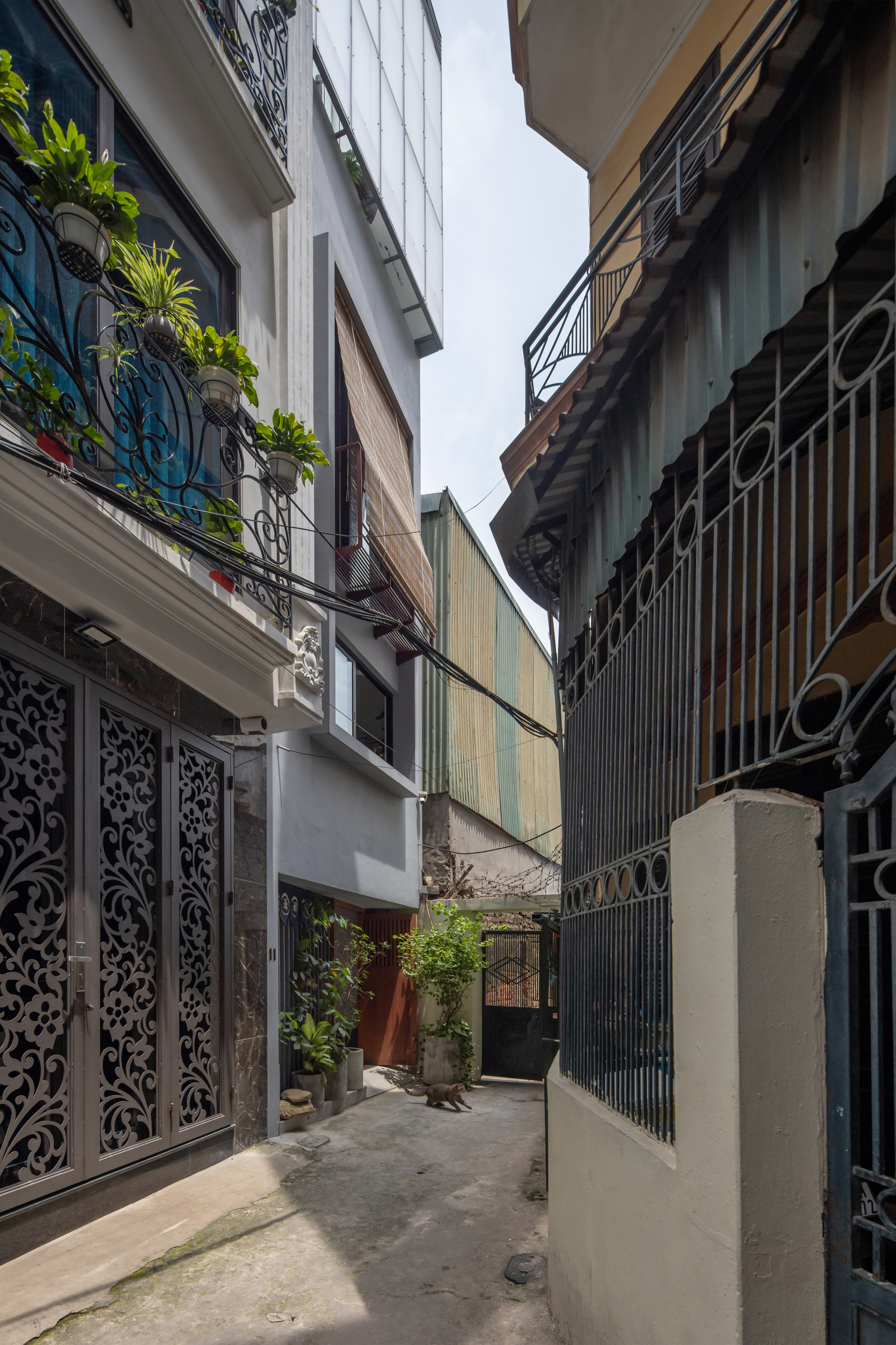 Narrow alleyway view between neighboring facades with ornamental metalwork and planted balconies