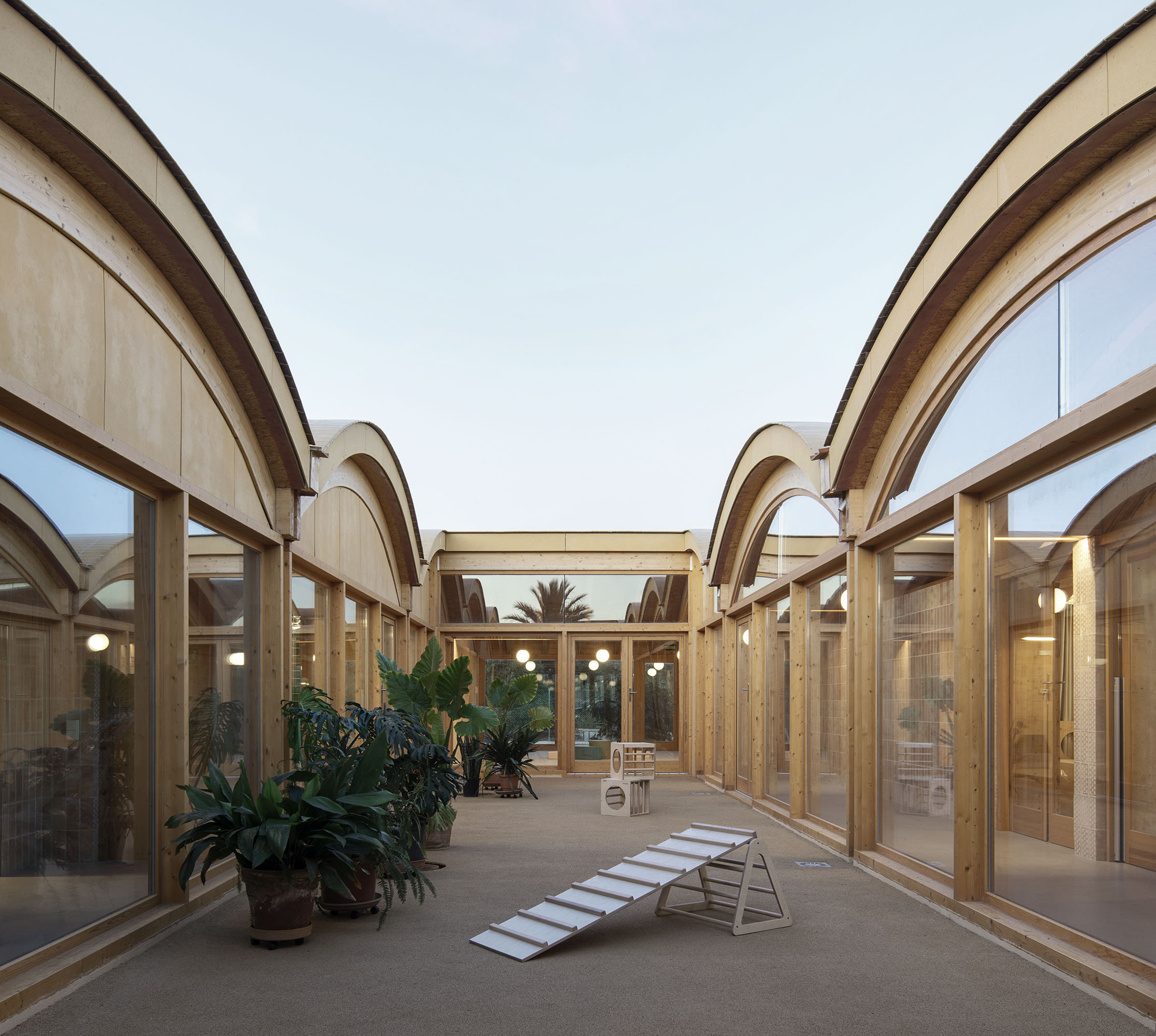Glazed courtyard with curved timber roof forms and potted plants at dusk