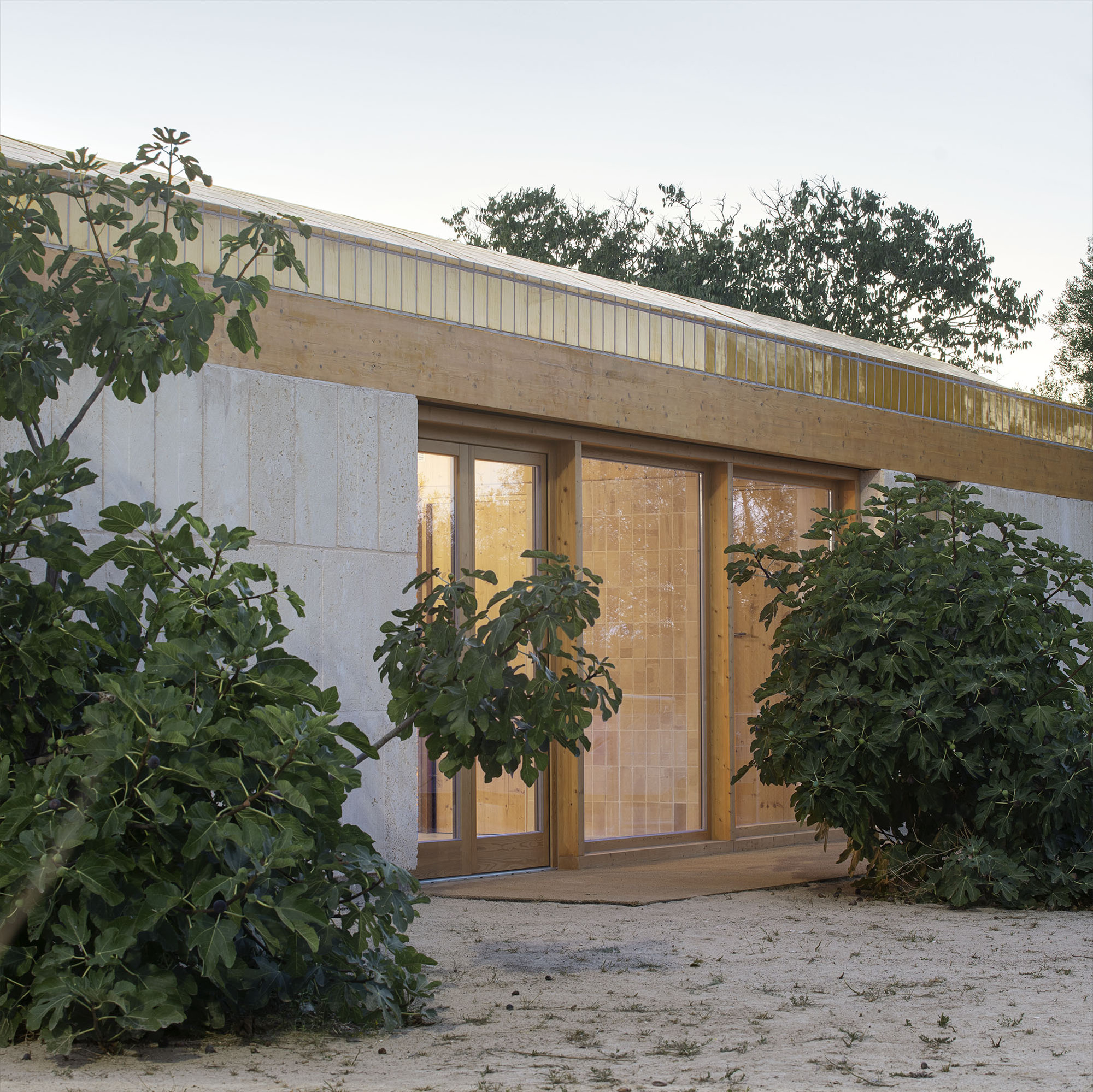 Exterior entrance with timber-framed sliding doors flanked by dense foliage at dusk