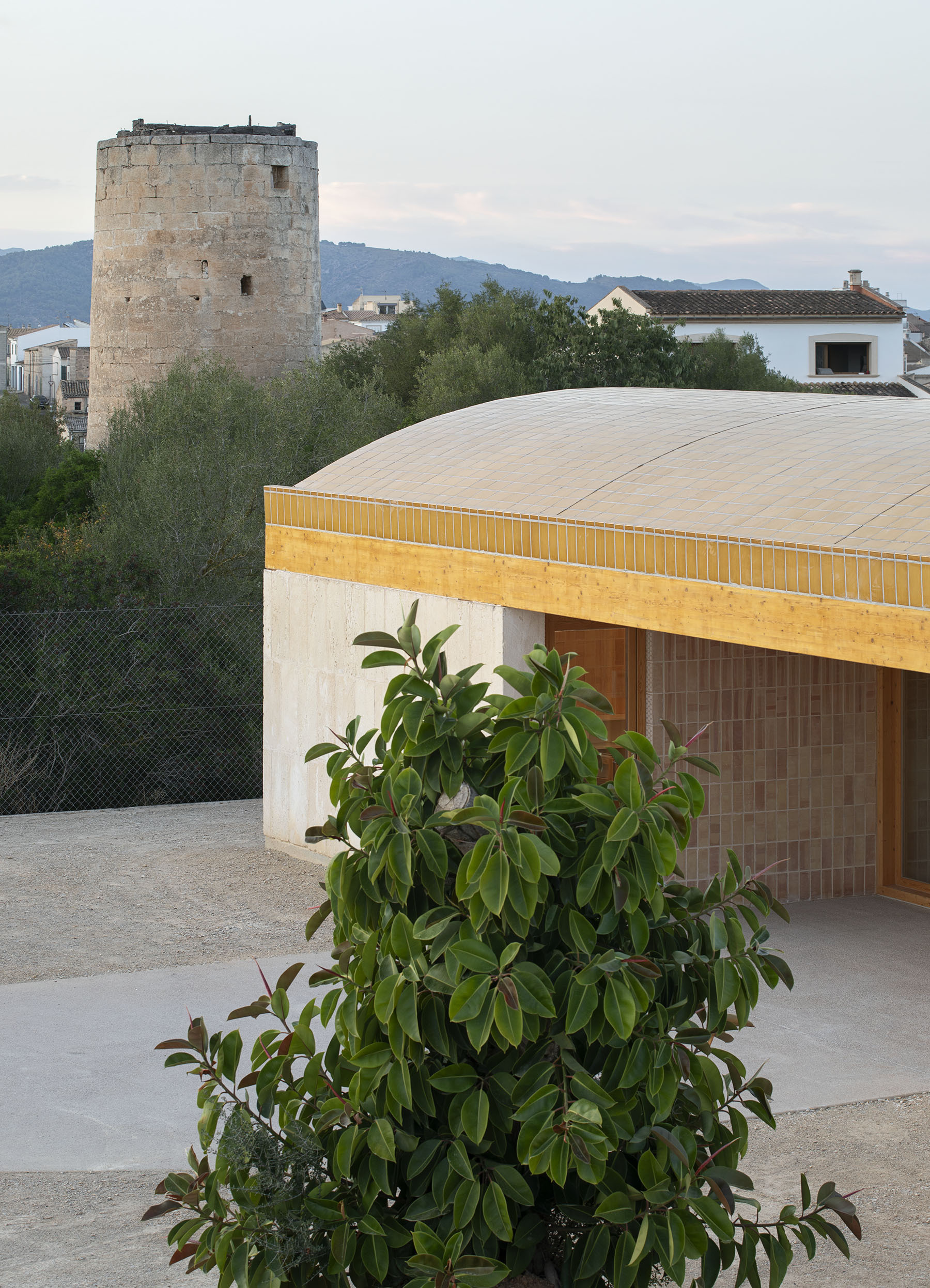 Curved timber roof and concrete terrace with a potted plant and historic stone tower in the background
