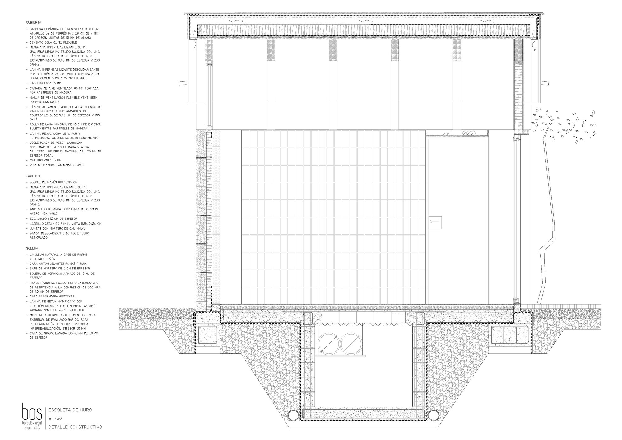 Section drawing showing the building structure with a basement level and timber roof beams above the main hall