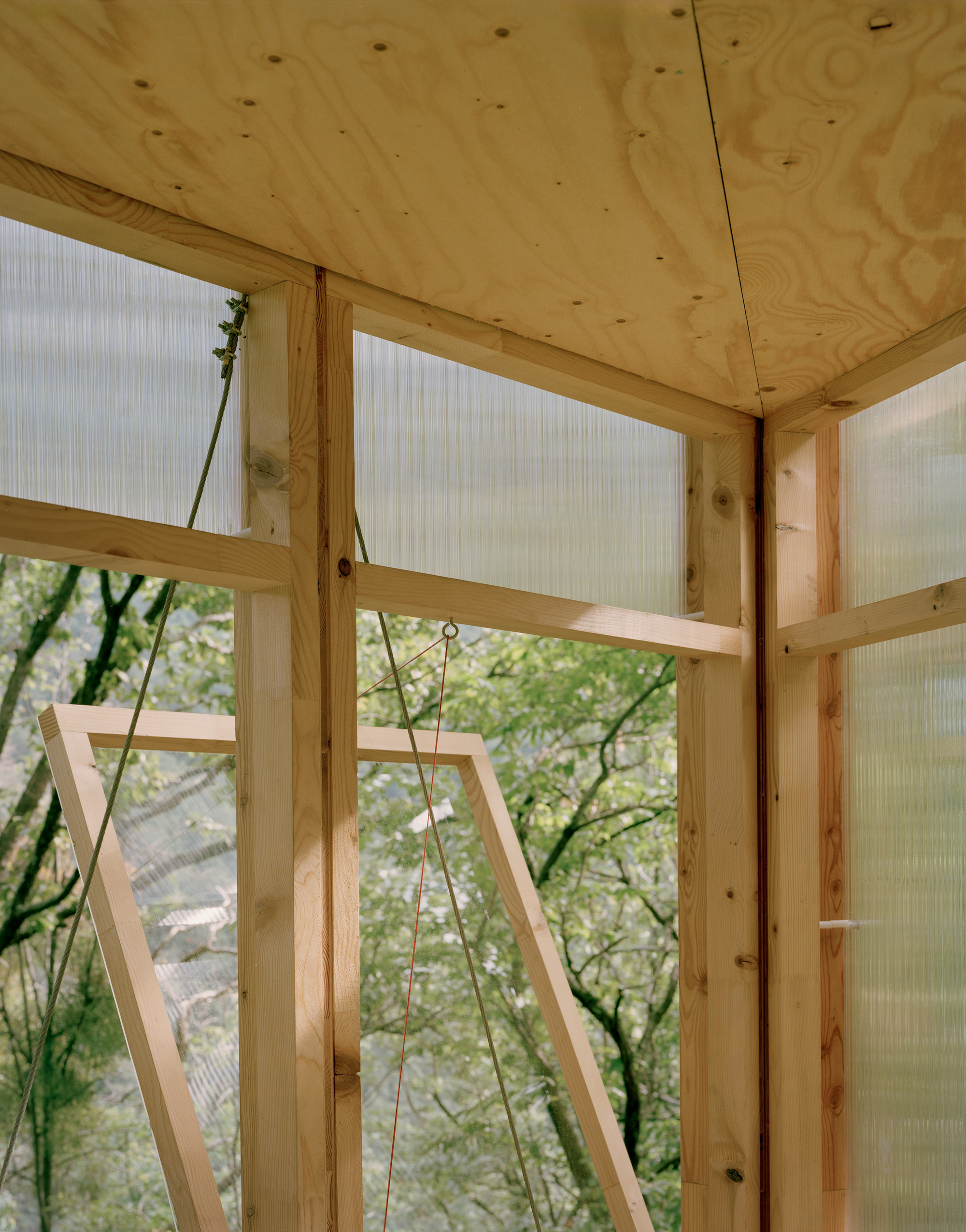 Plywood ceiling and corner window framing with operable timber casements overlooking green canopy