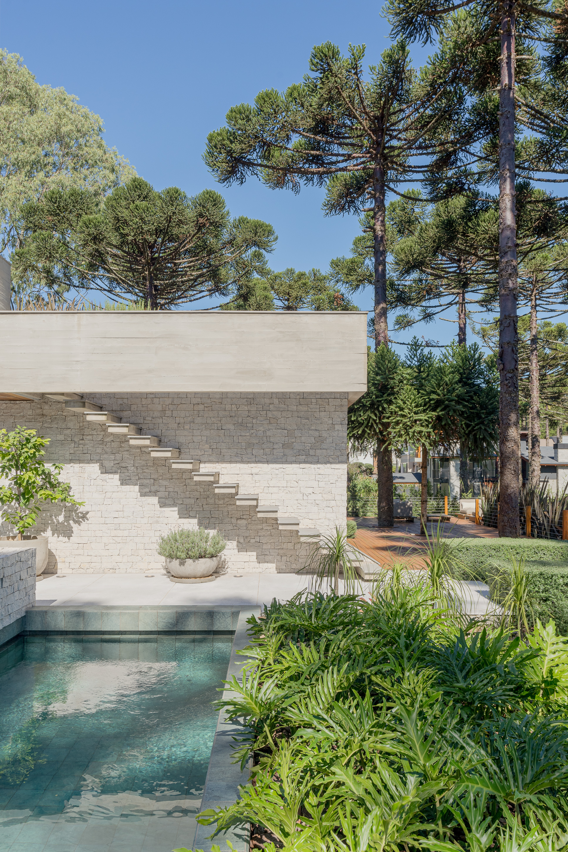 External staircase on white masonry wall beside pool with tropical planting and pine canopy