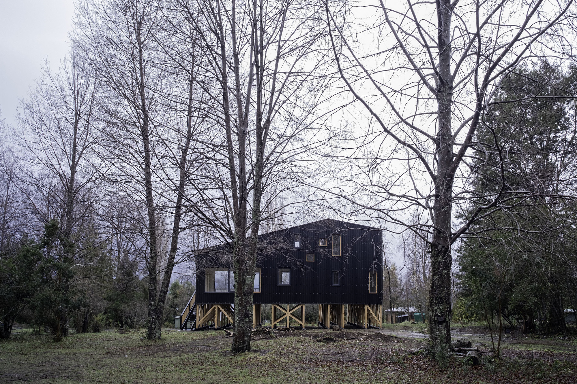 Dark corrugated structure elevated on timber stilts among bare winter trees under overcast sky