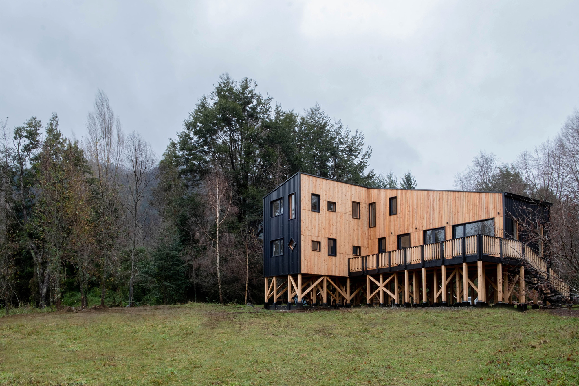 Elevated structure with contrasting dark and light timber cladding on diagonal timber stilts in grassy clearing