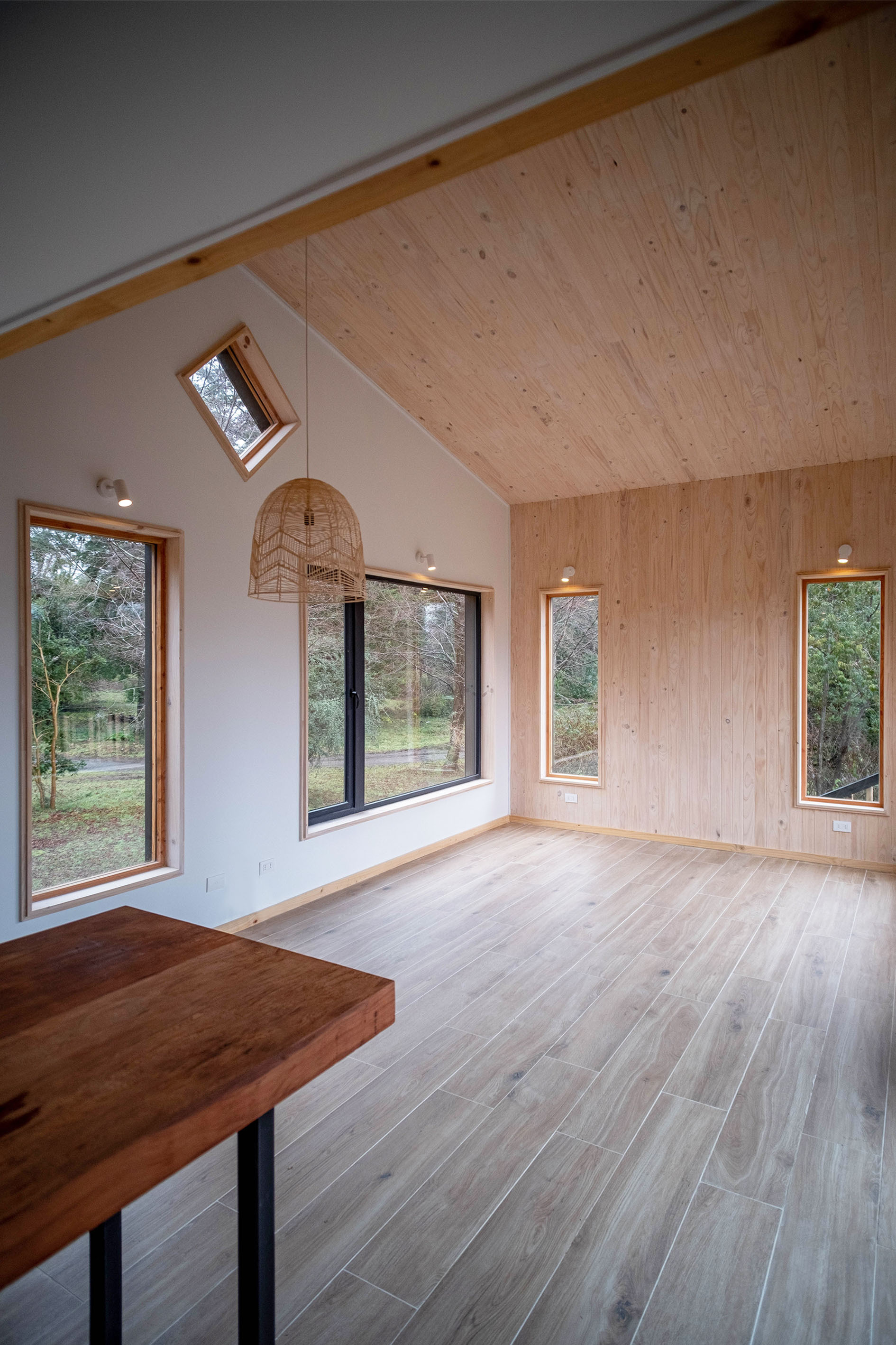 Living area with pitched plywood ceiling, skylight, and timber-framed windows overlooking bare winter trees