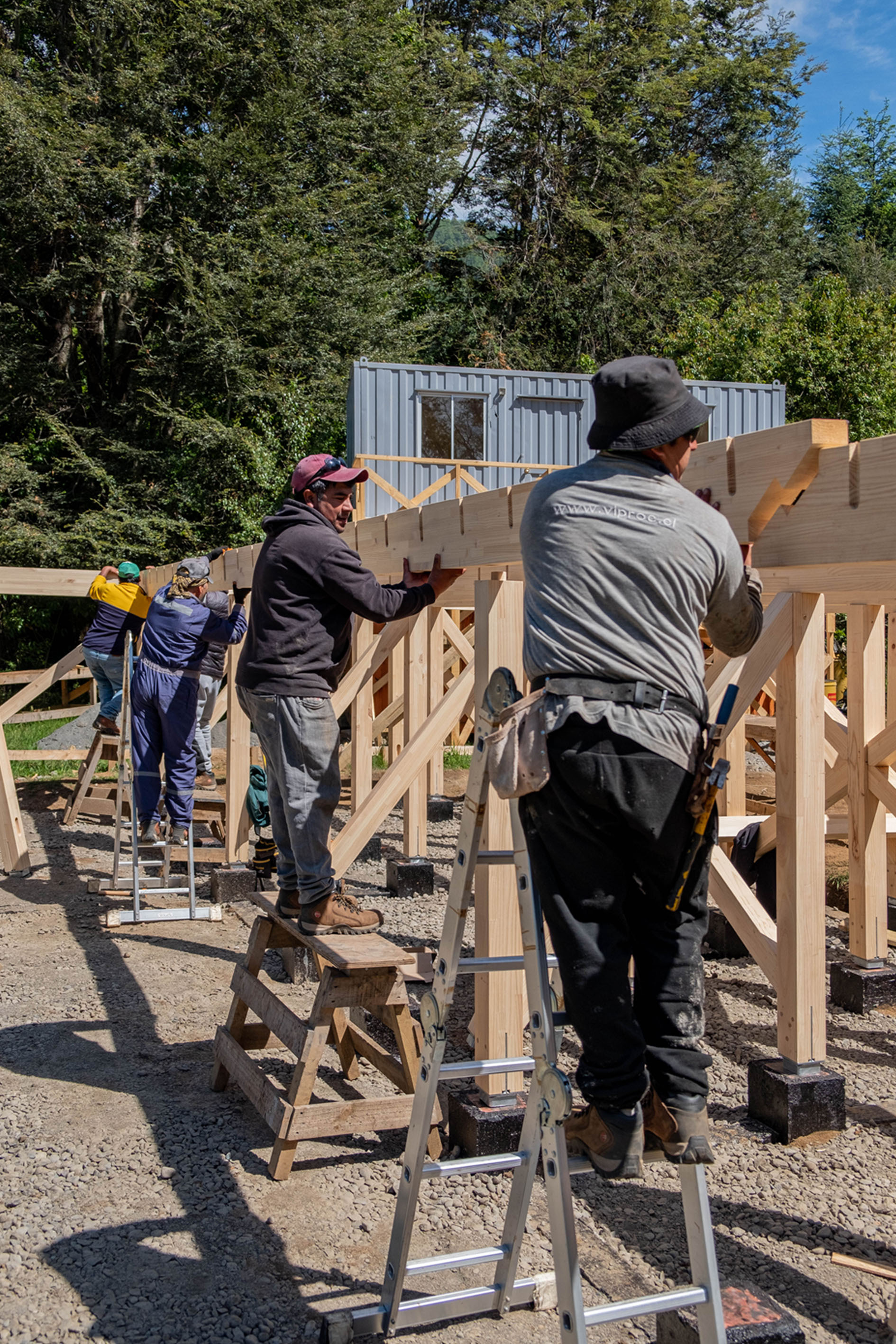 Three workers assembling timber frame structure on sawhorses under bright sunlight