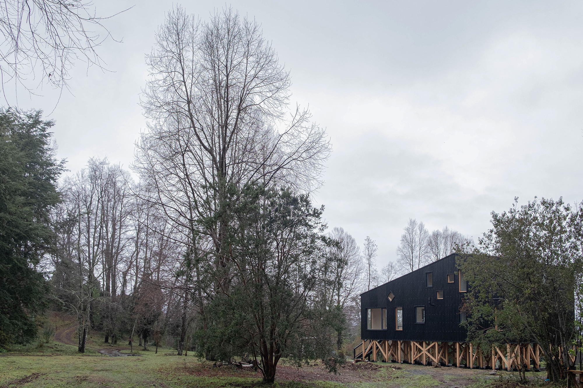 Black corrugated metal volume on exposed timber stilts among bare deciduous trees under overcast sky