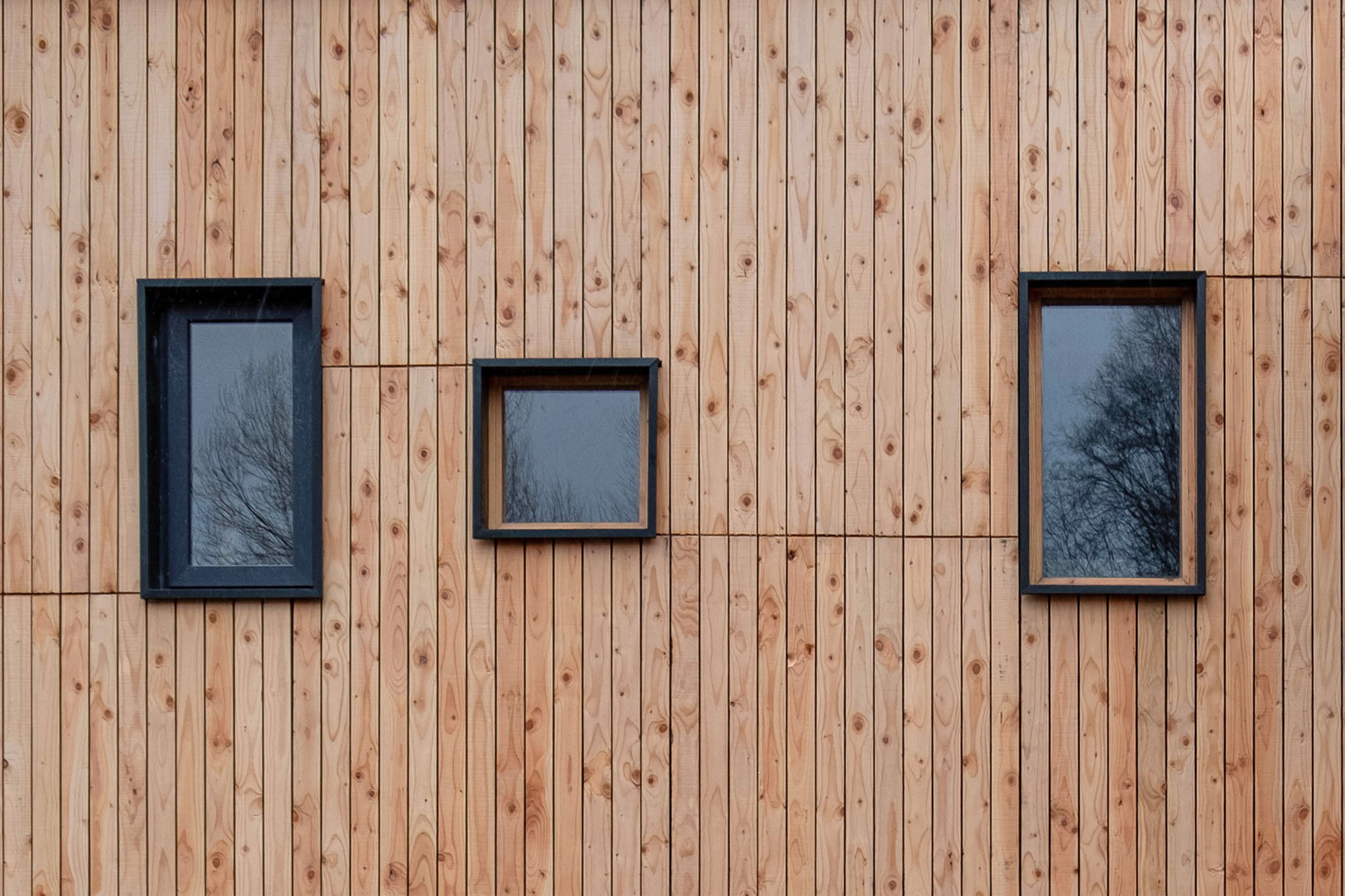 Three black-framed windows at varying heights on vertical timber board cladding reflecting bare branches