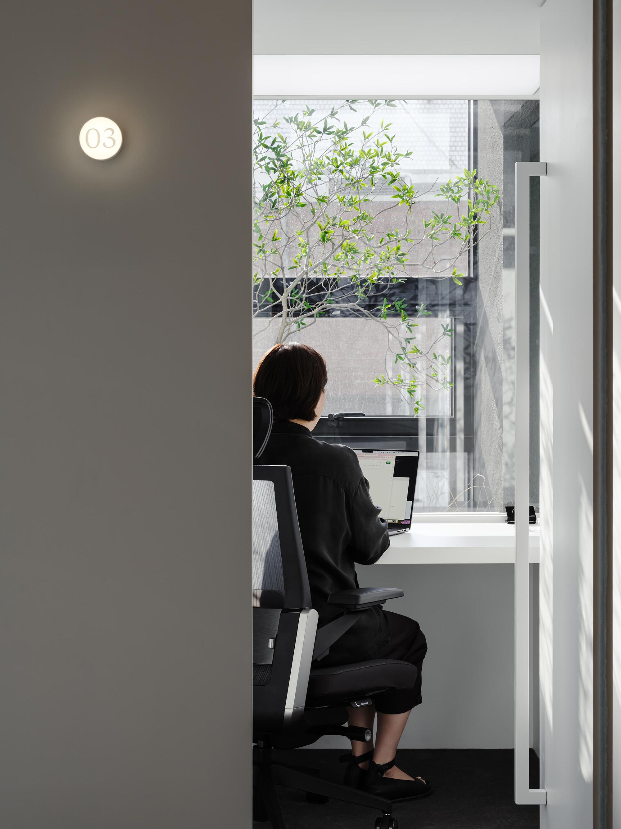 Person seated at a white desk facing a window with a green tree visible outside