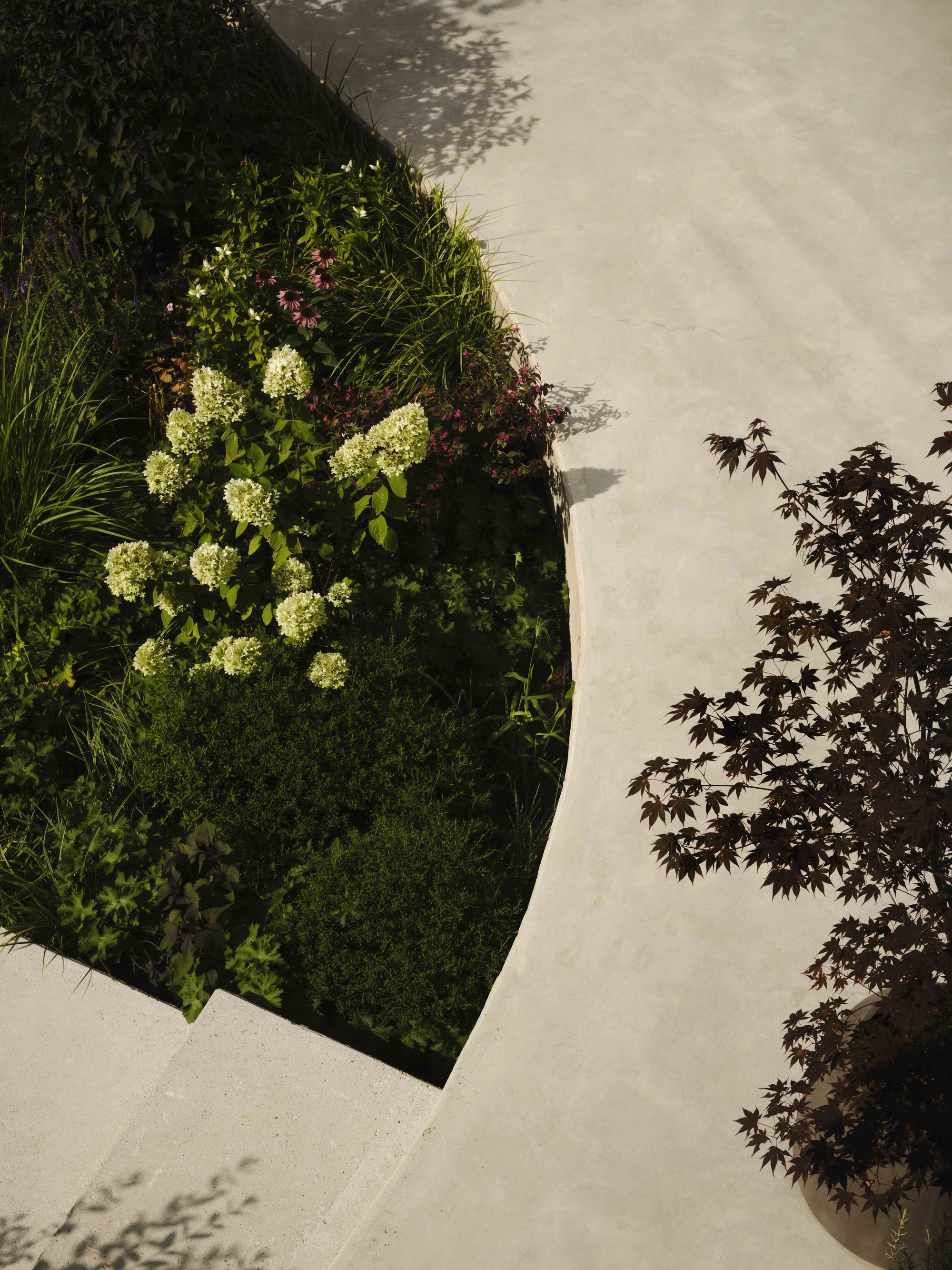 Overhead view of a planted bed with hydrangeas and grasses casting dappled shadows on pale paving