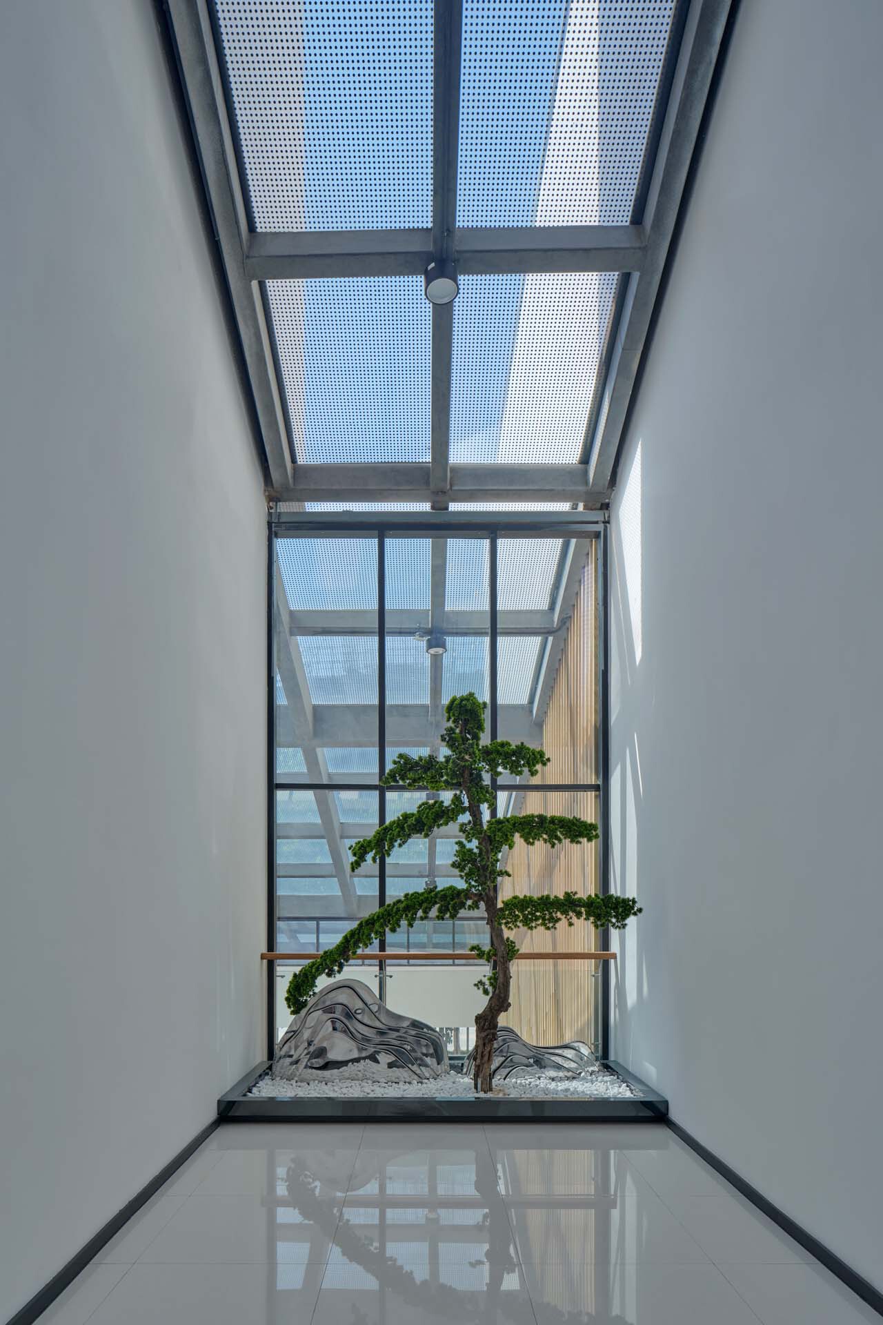 Interior courtyard with a skylight above a bonsai tree on a reflective white floor